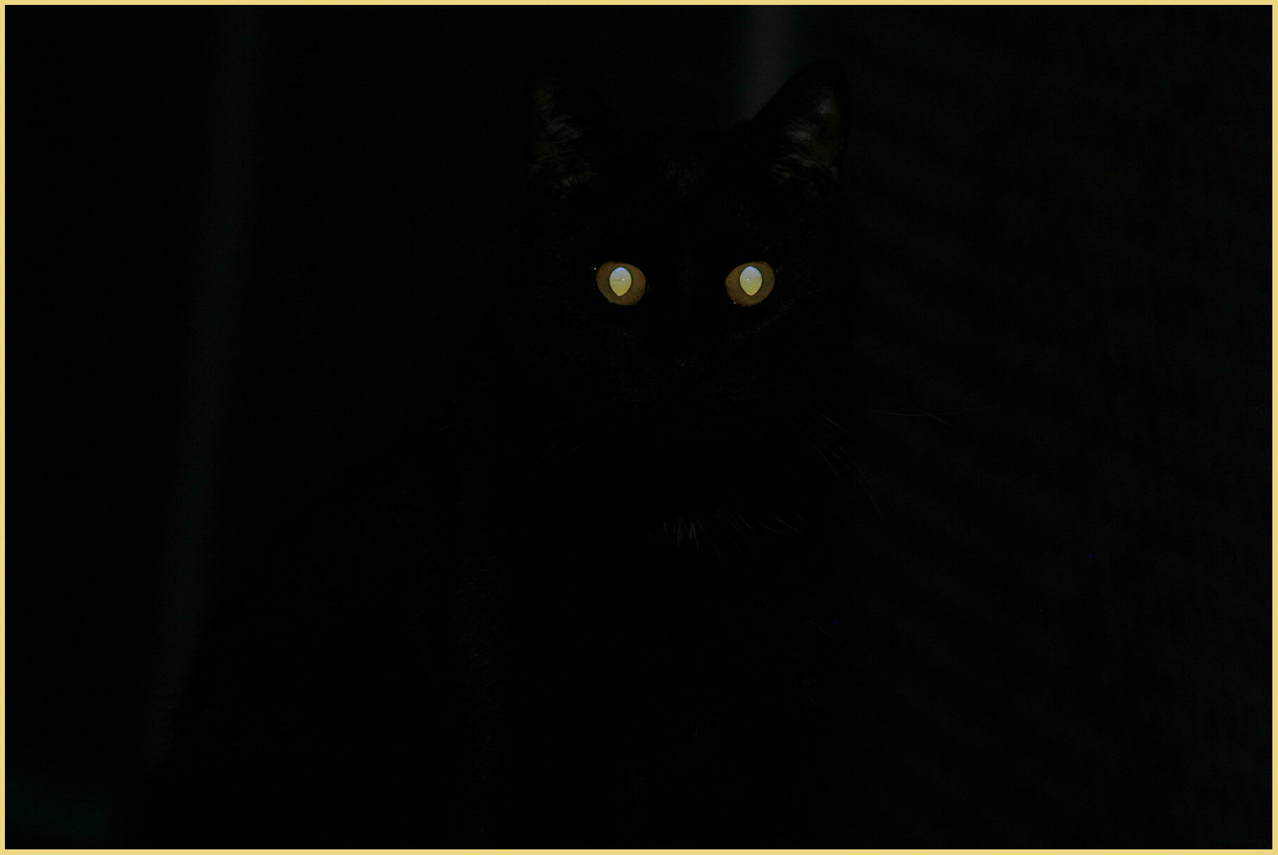 CC_Jul 2_2006_8298_4x6s.jpg