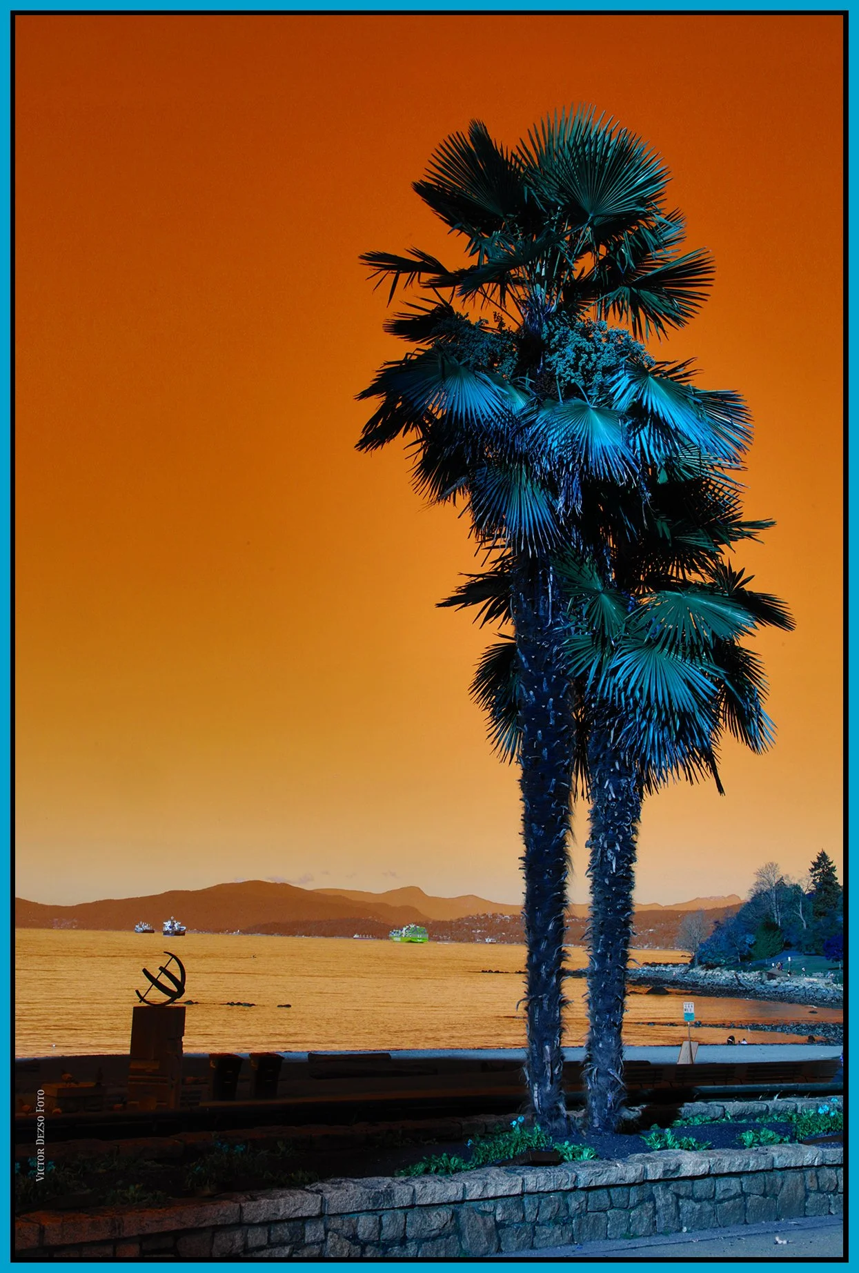 English Bay Beach Ave Palm Tree_Oct 23_2026_HDR_4L5541_peInfrared Winter_4x6s.jpg
