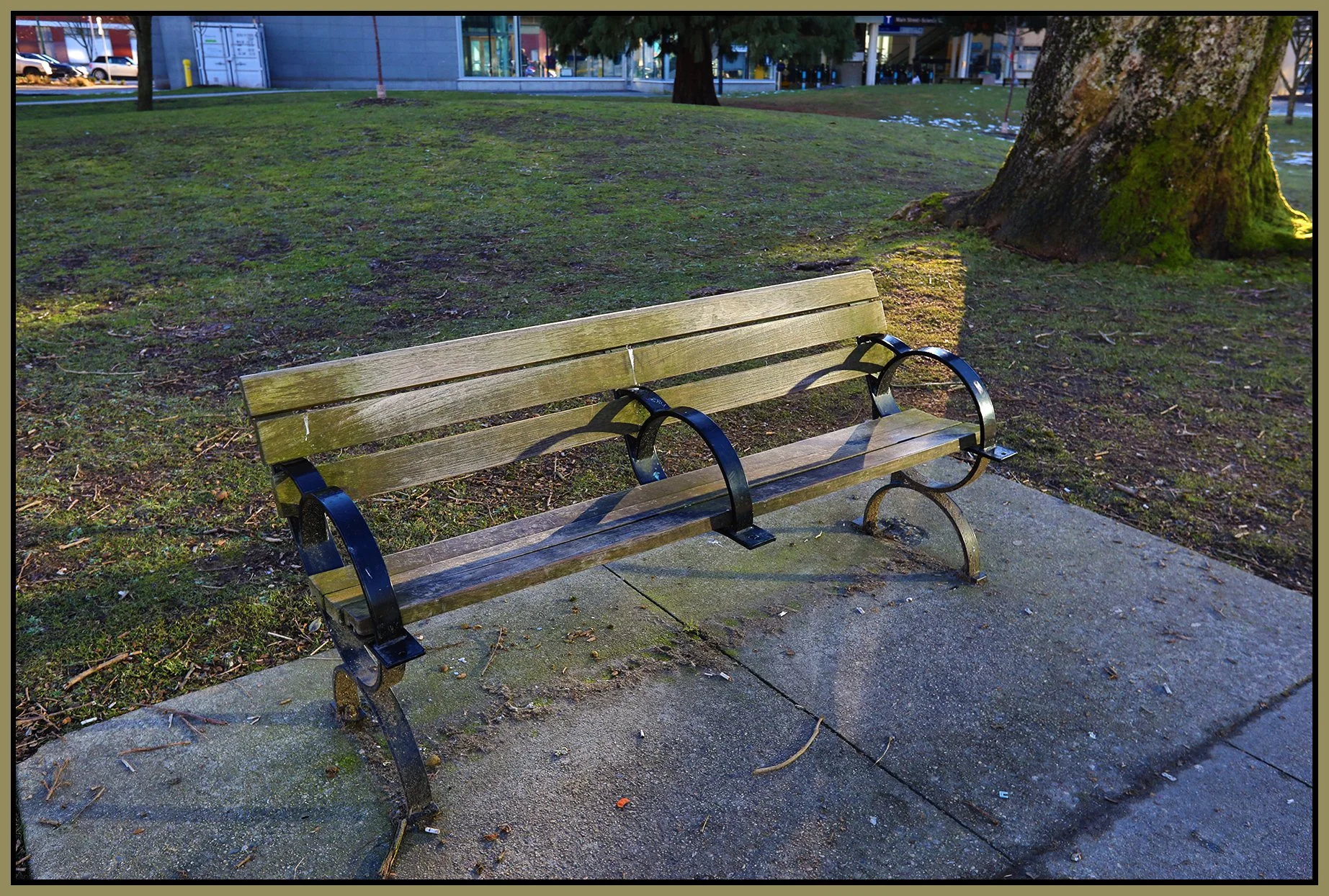 Bench in Thornton Pk_Feb 20_2019_HDR_E2100_4x6s.jpg