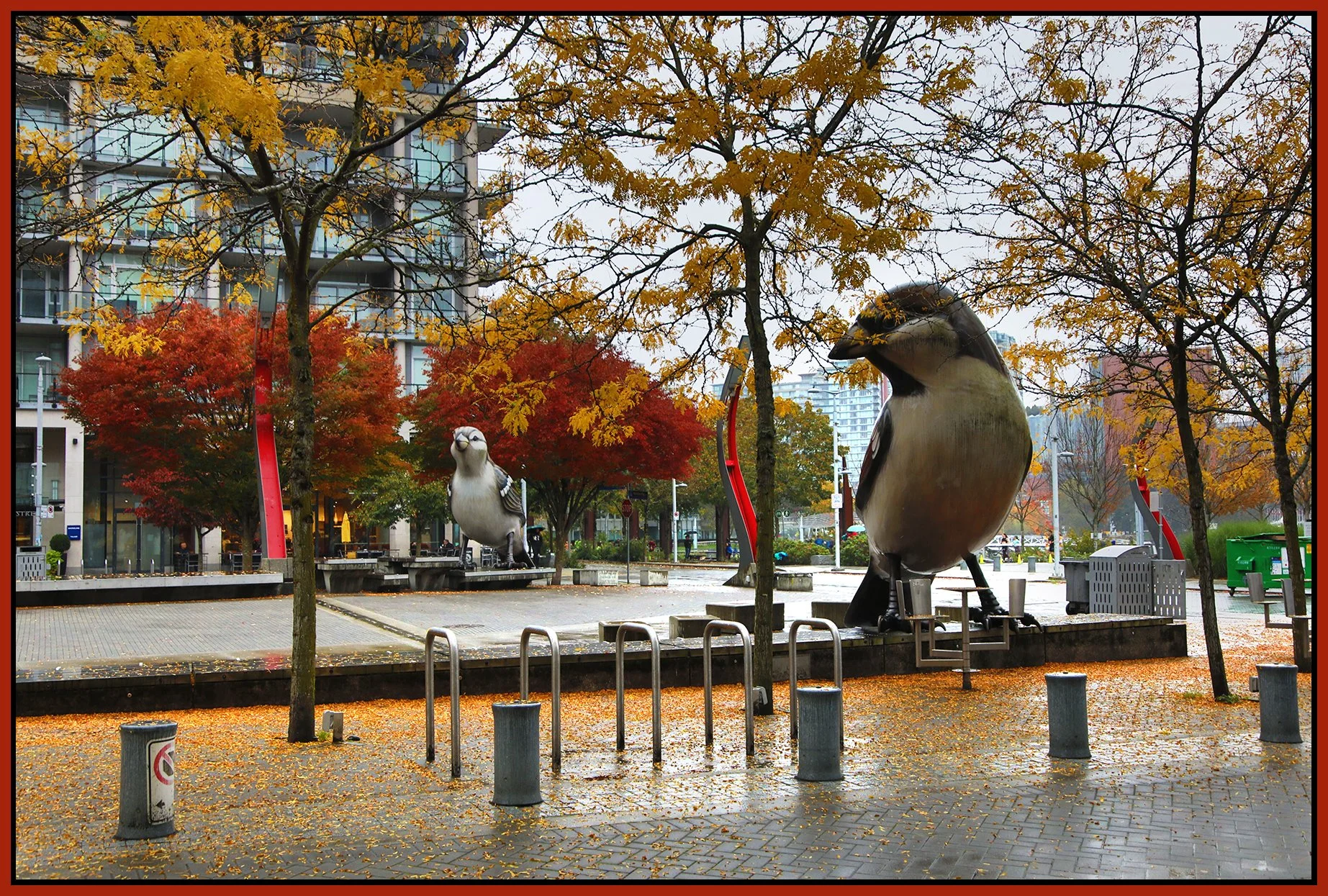 The Village Trees & Art_Oct 14_2024_HDR_4J4324_4x6s.jpg
