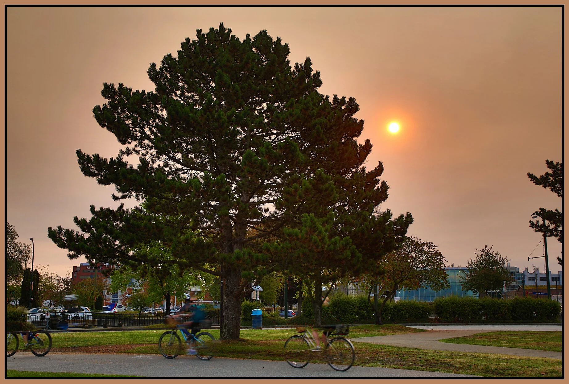 Creekside S Pk Tree_Sep 30_2020_HDR_3B3265_4x6s.jpg