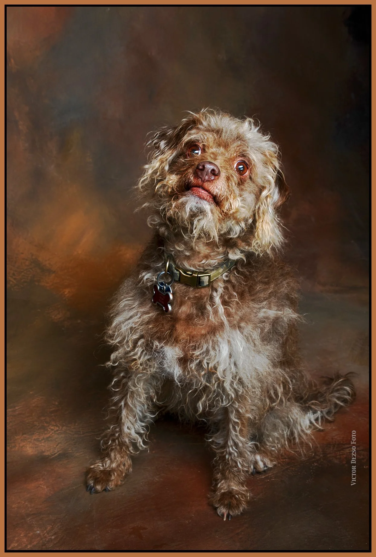 Frances_Jun 11_2023_4H7702_peSmrtVibr_4x6s.jpg