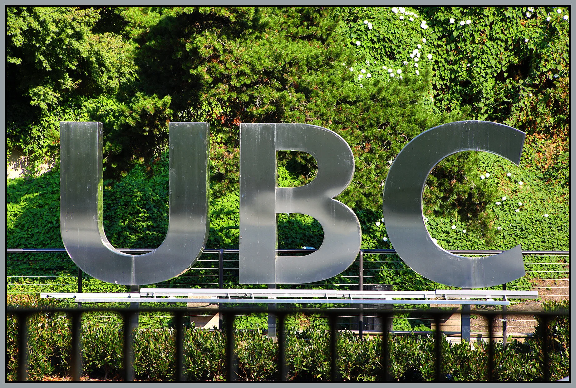 UBC Sign_Aug 3_2021_HDR_5A7353_4x6s.jpg