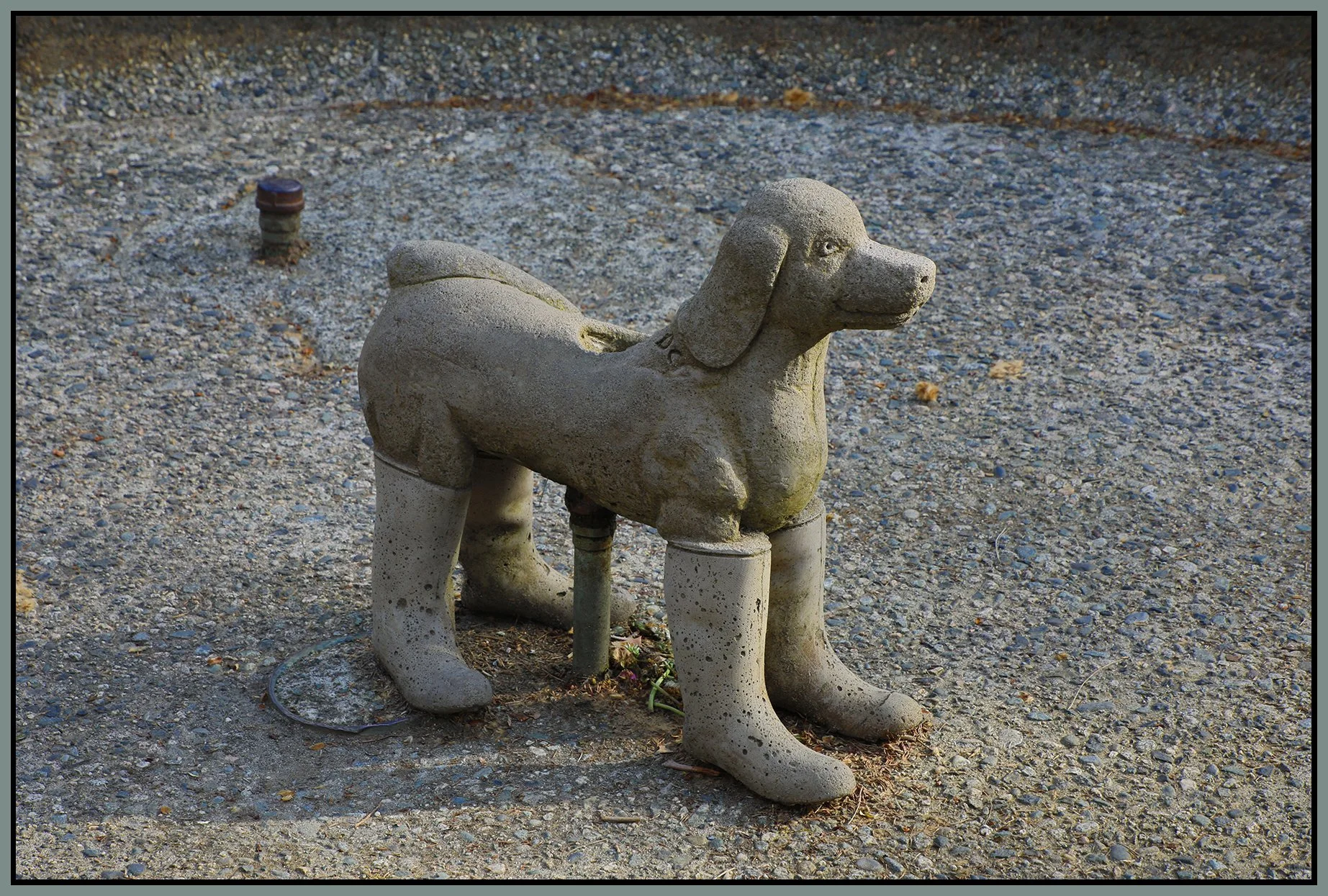 902 W 7th Dog Art_Apr 24_2022_HDR_4G8565_4x6s.jpg
