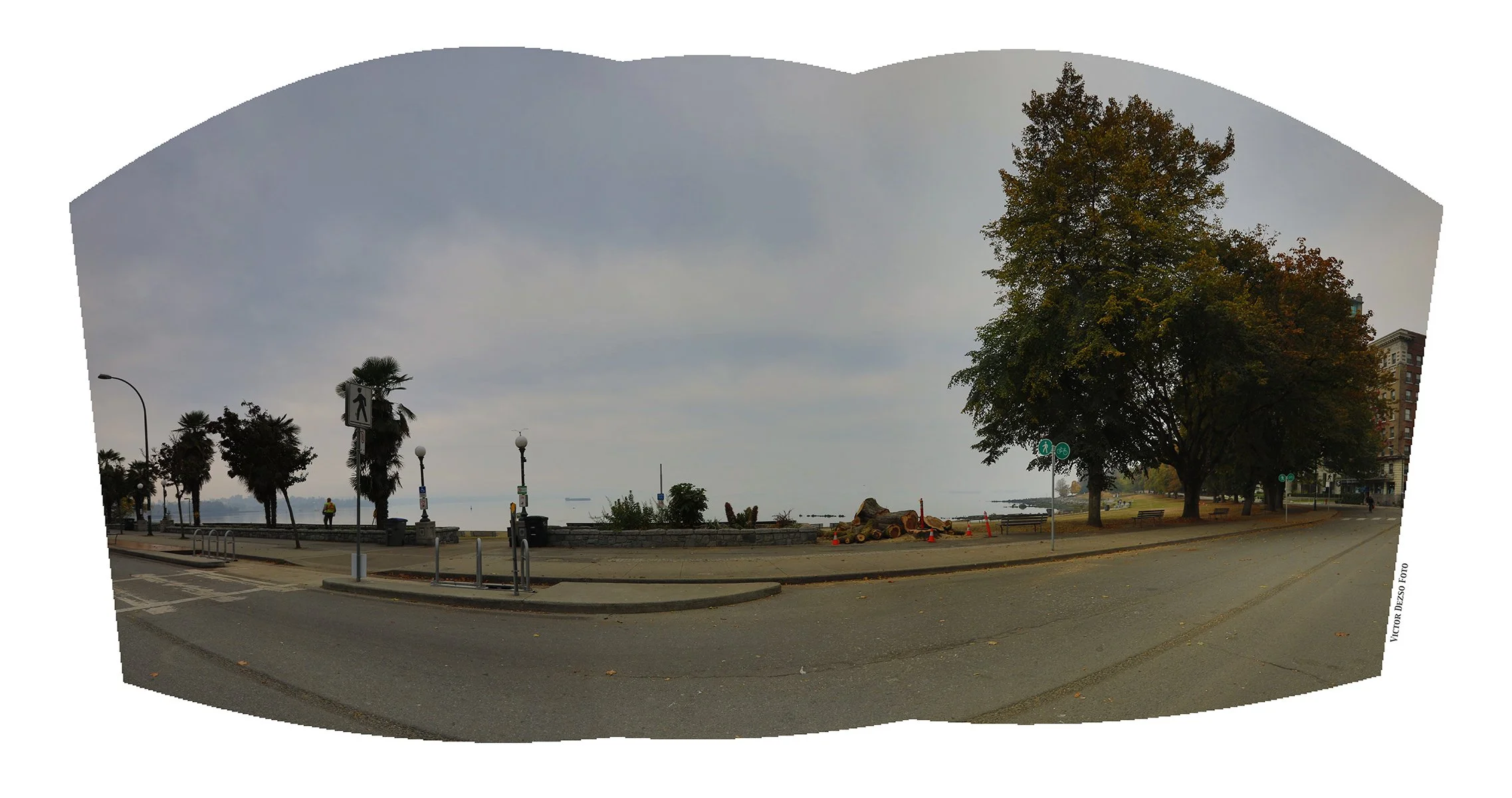 English Bay Trees_Oct 20_2022_HDR_Pan_5C4214_4x8.jpg