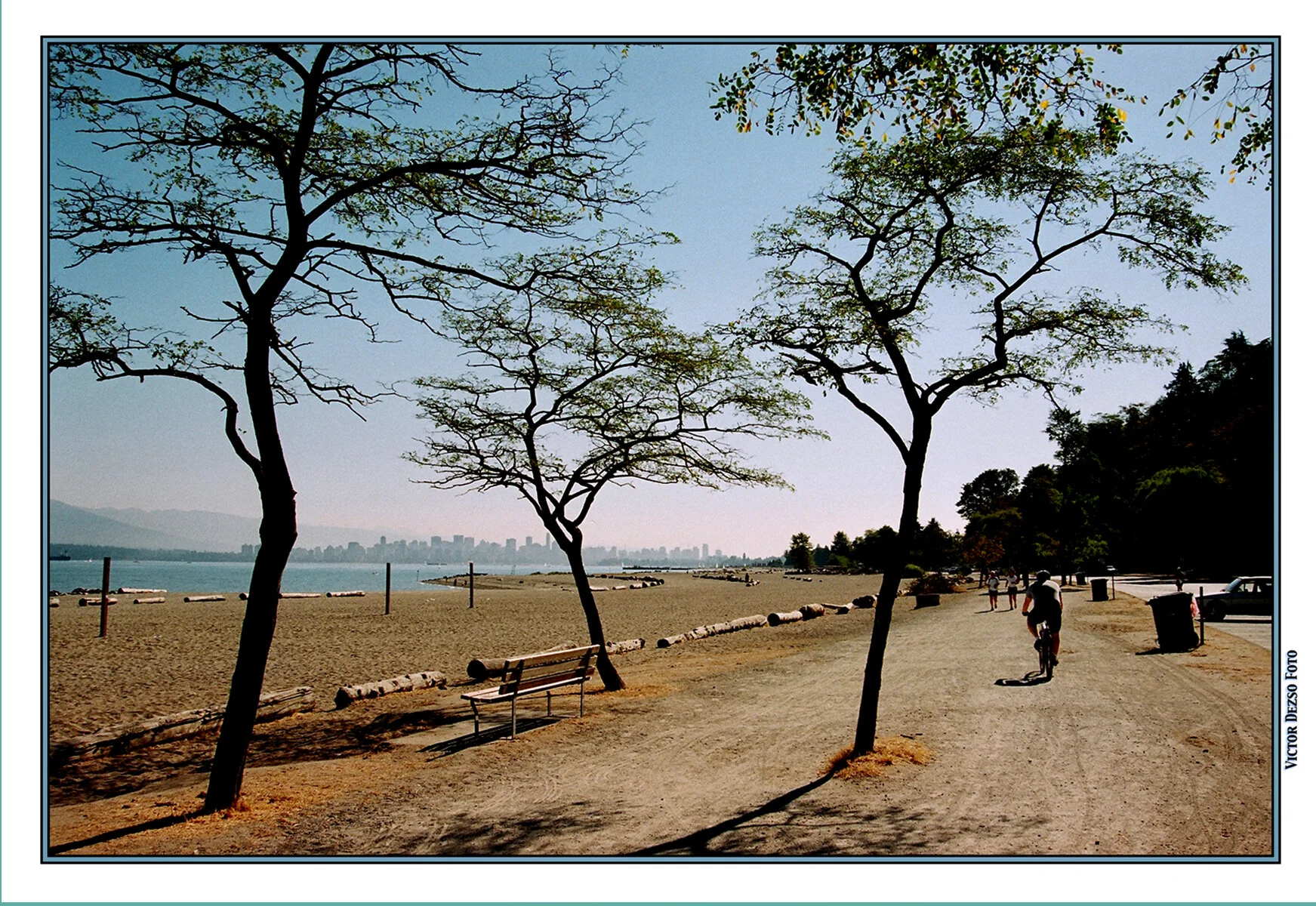 Spanish Banks Trees_036_4x6s.jpg