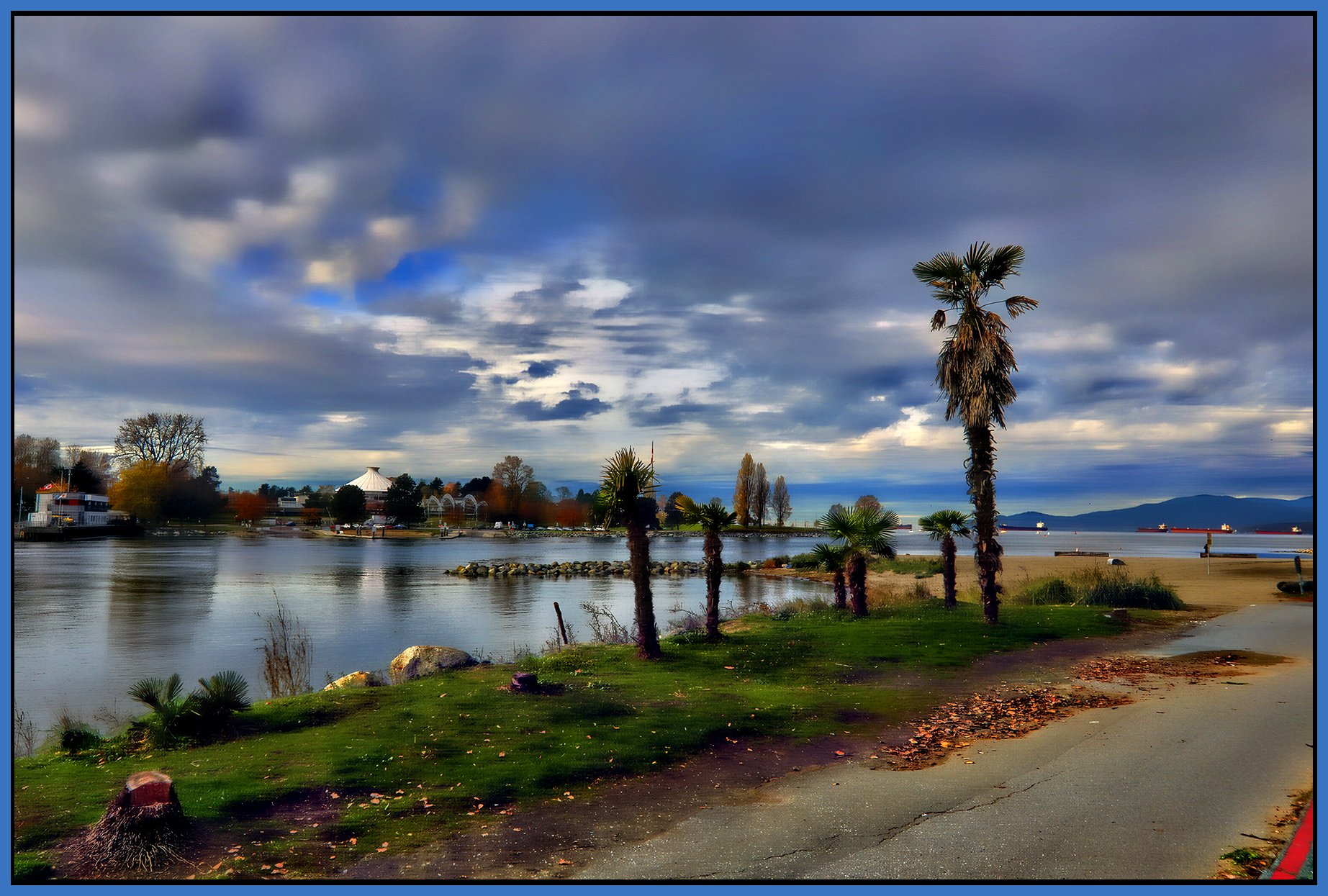 English Bay Palms_Nov 7_2024_HDR_5E4319_peHdr2013_1_4x6s.jpg