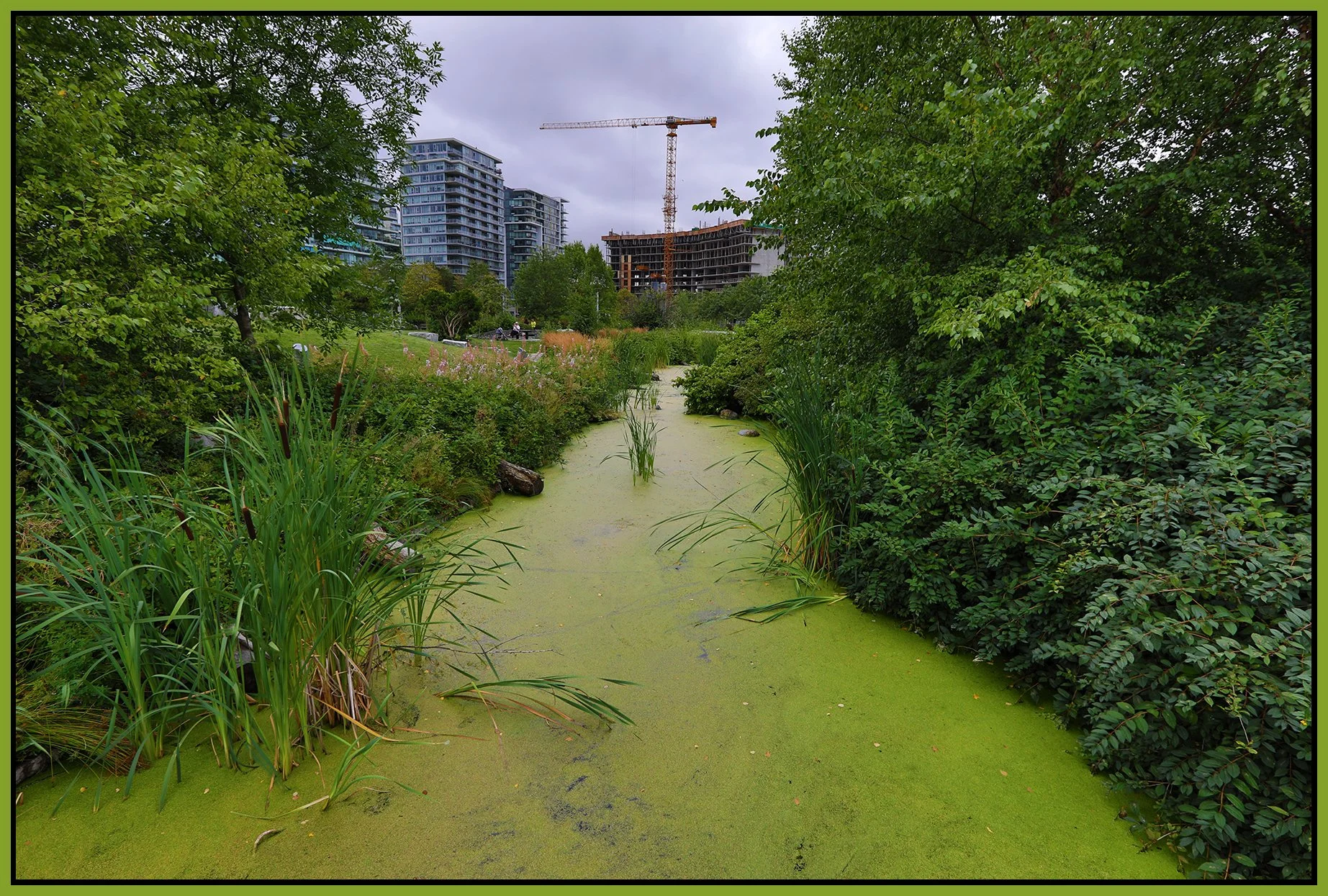 False Ck Creek Const_Jul 30_2019_HDR_4E2075_4x6s.jpg