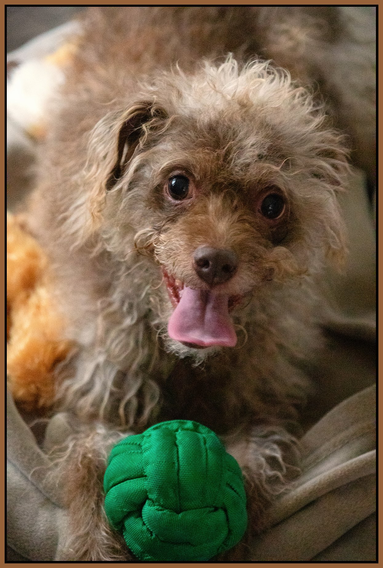 Frances_Dec 26_2024_CR2_4J4773_peHyprstrip_4x6s.jpg