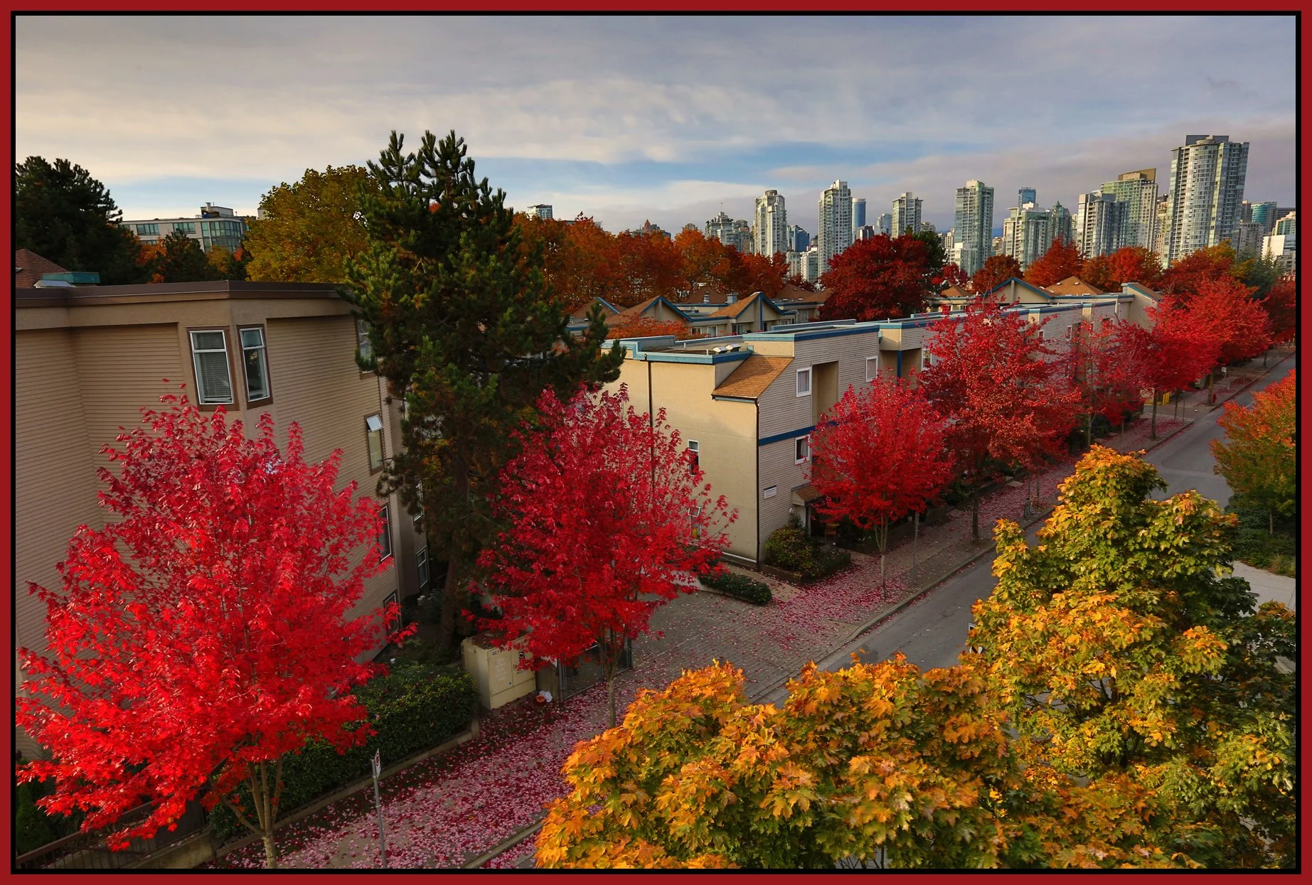 Fall Trees_Oct 26_2013_HDR_D0066_4x6s.jpg