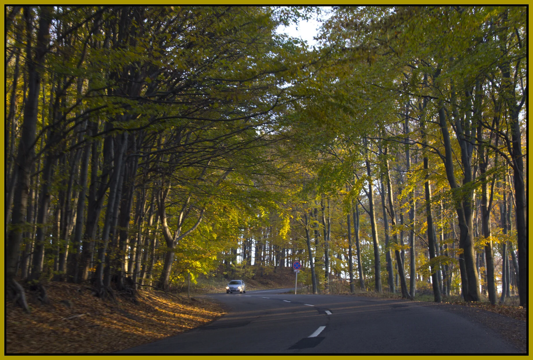 Mátra_Nov 1_2011_9577_4x6s.jpg