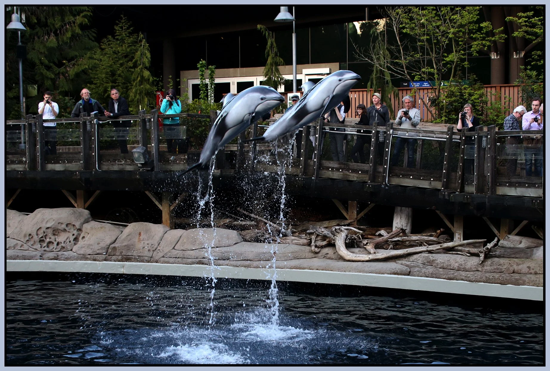 Vancouver Aquarium_Apr 20_2015_F5051_4x6s.jpg