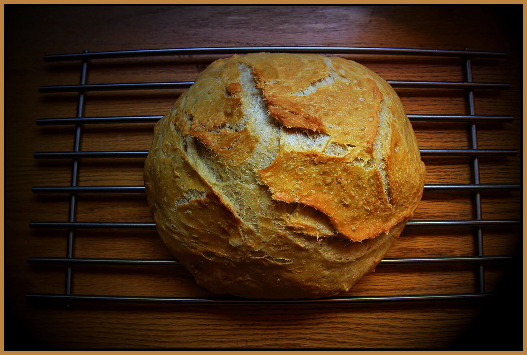 Barbara's Bread_Jan 31_2021_HDR_4G3240_peIntnSunst_4x6s.jpg