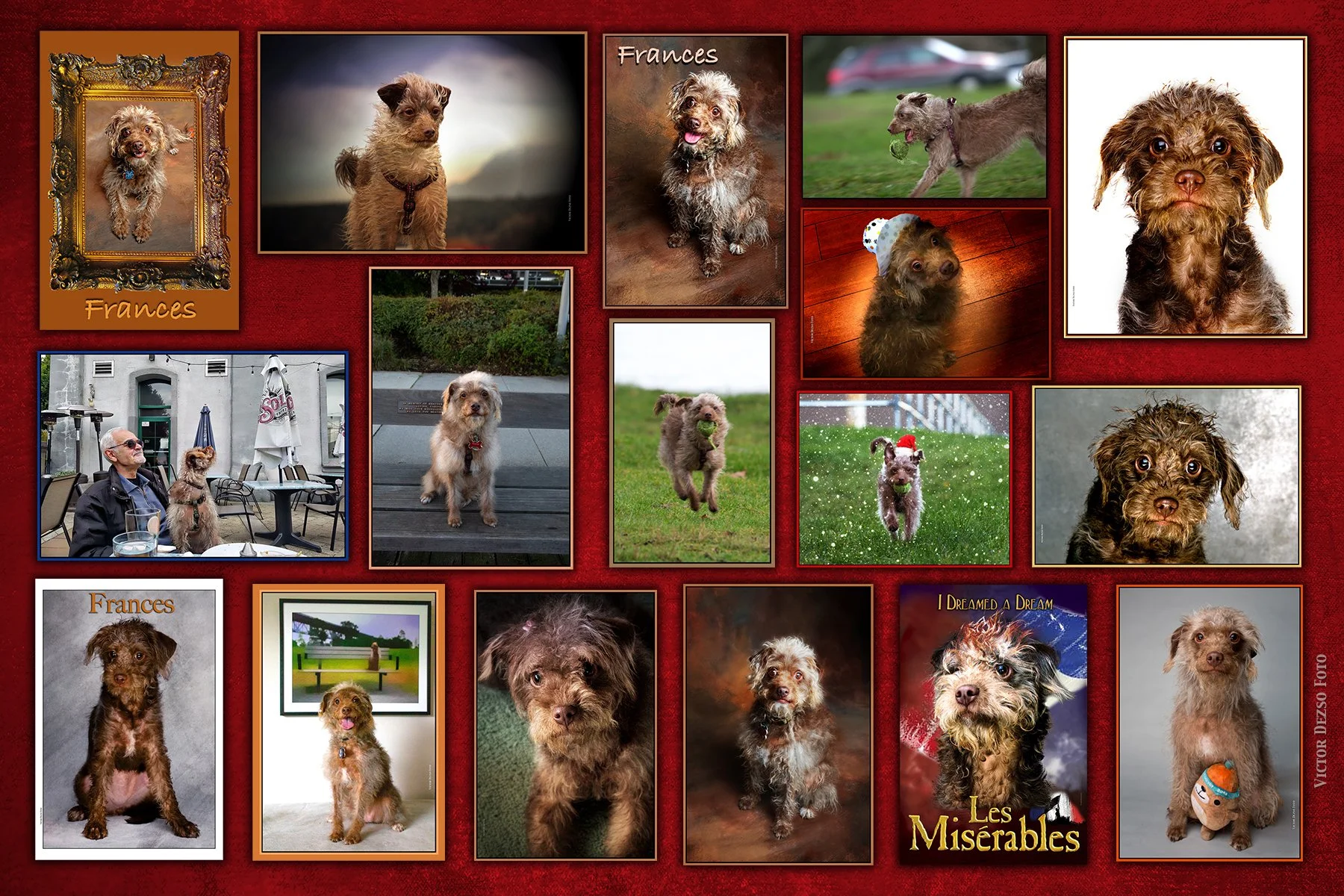 Frances Comp 2 2025_4x6.jpg