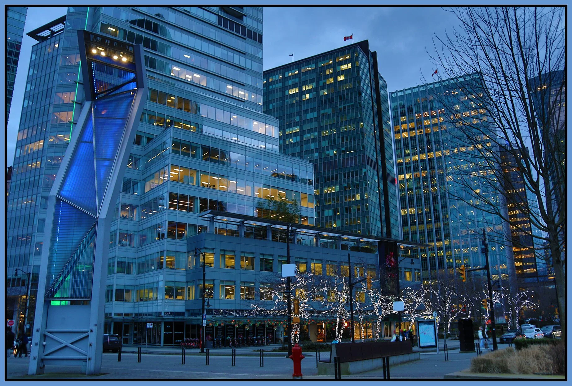 W Waterfront Road Trees_Feb 7_2024_HDR_5E4094_4x6s.jpg