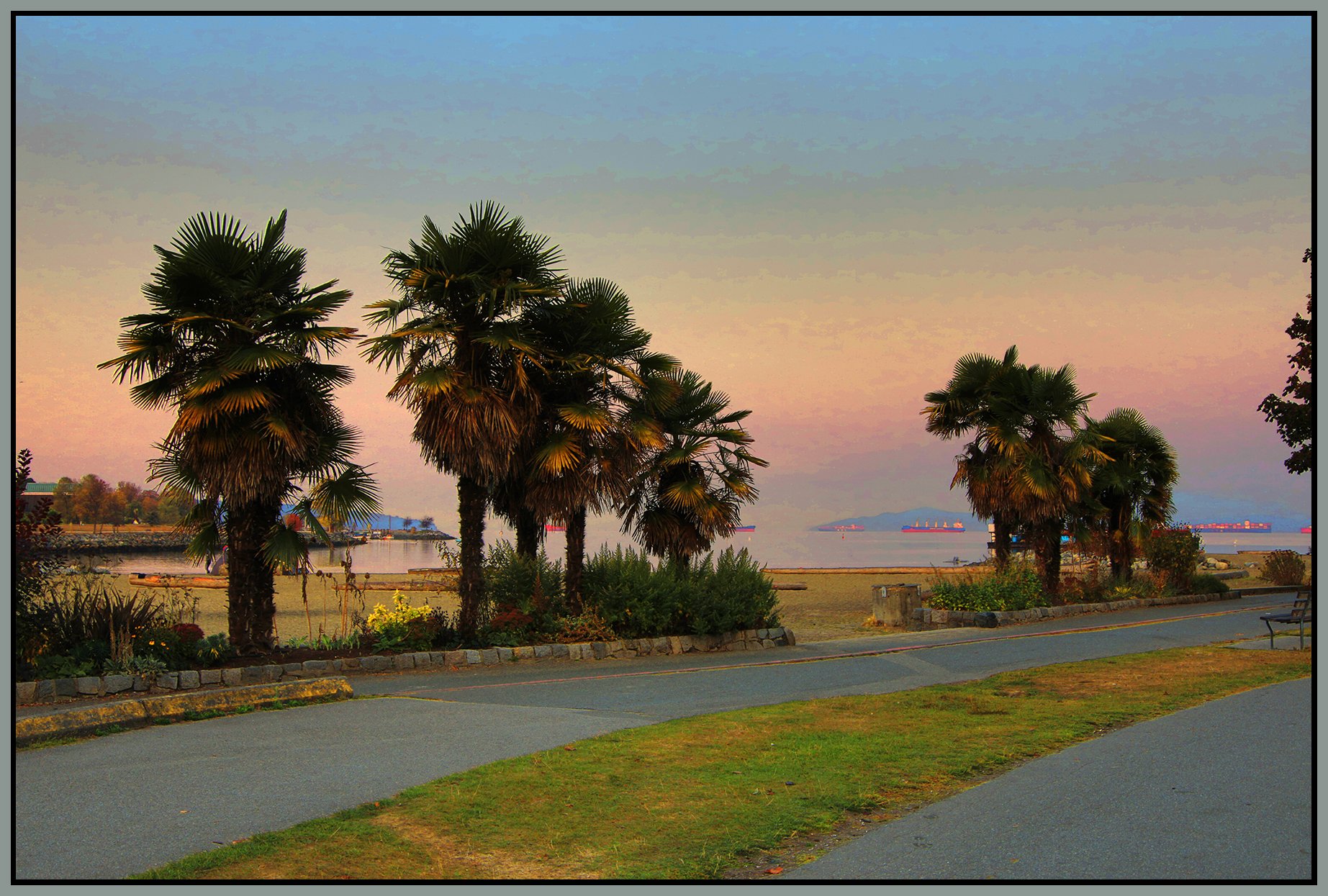 Sunset Beach Palms_Oct 16_2022_HDR_4H3970_peVbrnClrs_4x6s.jpg