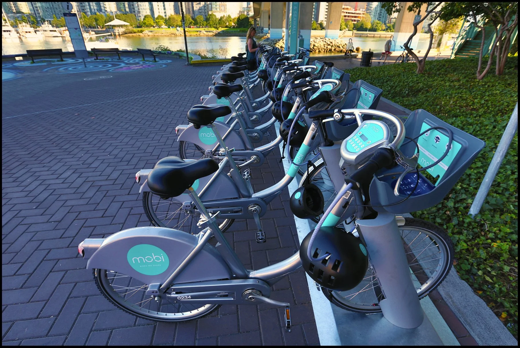 Mobi at 3 View_Jul 21_2016_HDR_L6085_4x6.jpg