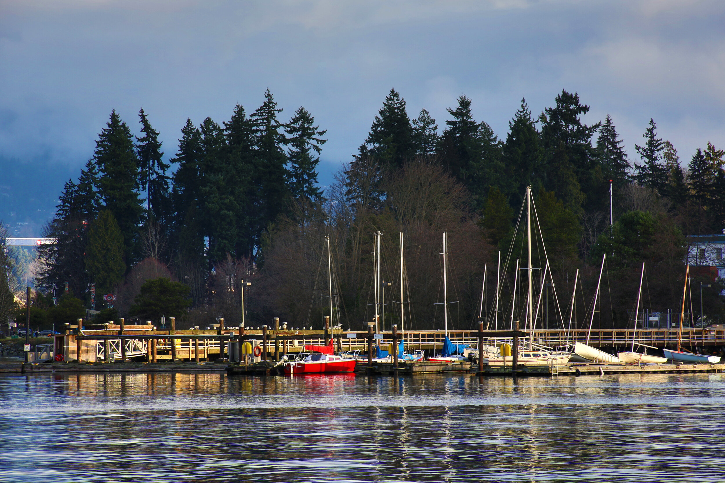 Coal Harbor Boats_Dec 25_2014_HDR_F3468.jpg