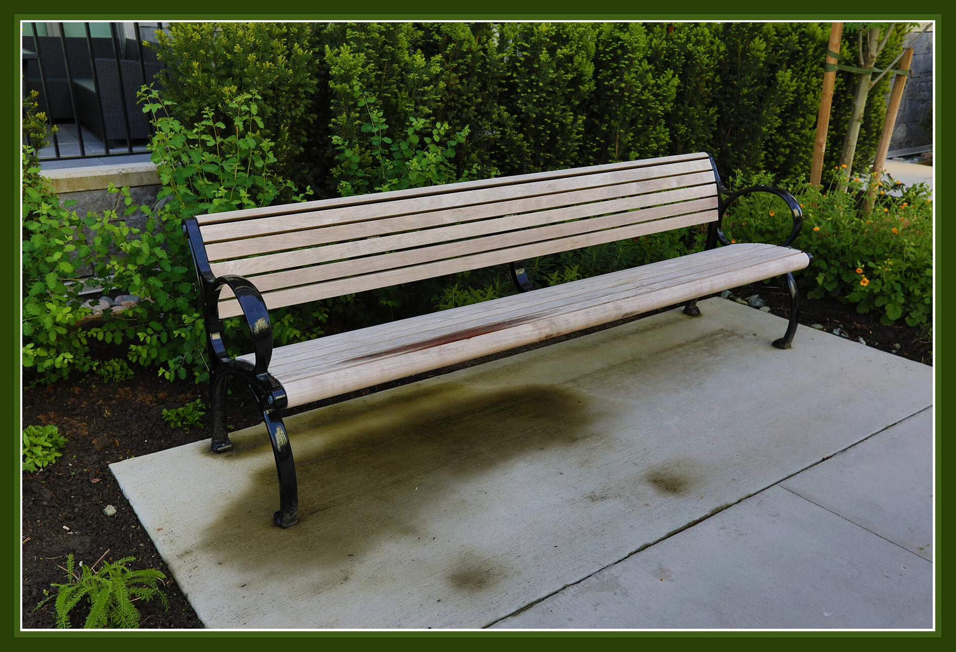 Bench at Navio_May 13_2019_HDR_E0737_4x6s.jpg