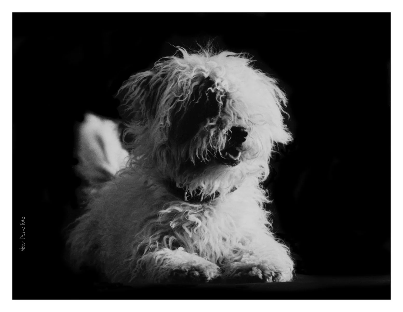 Lemmy 1970's_1806_4x5.jpg