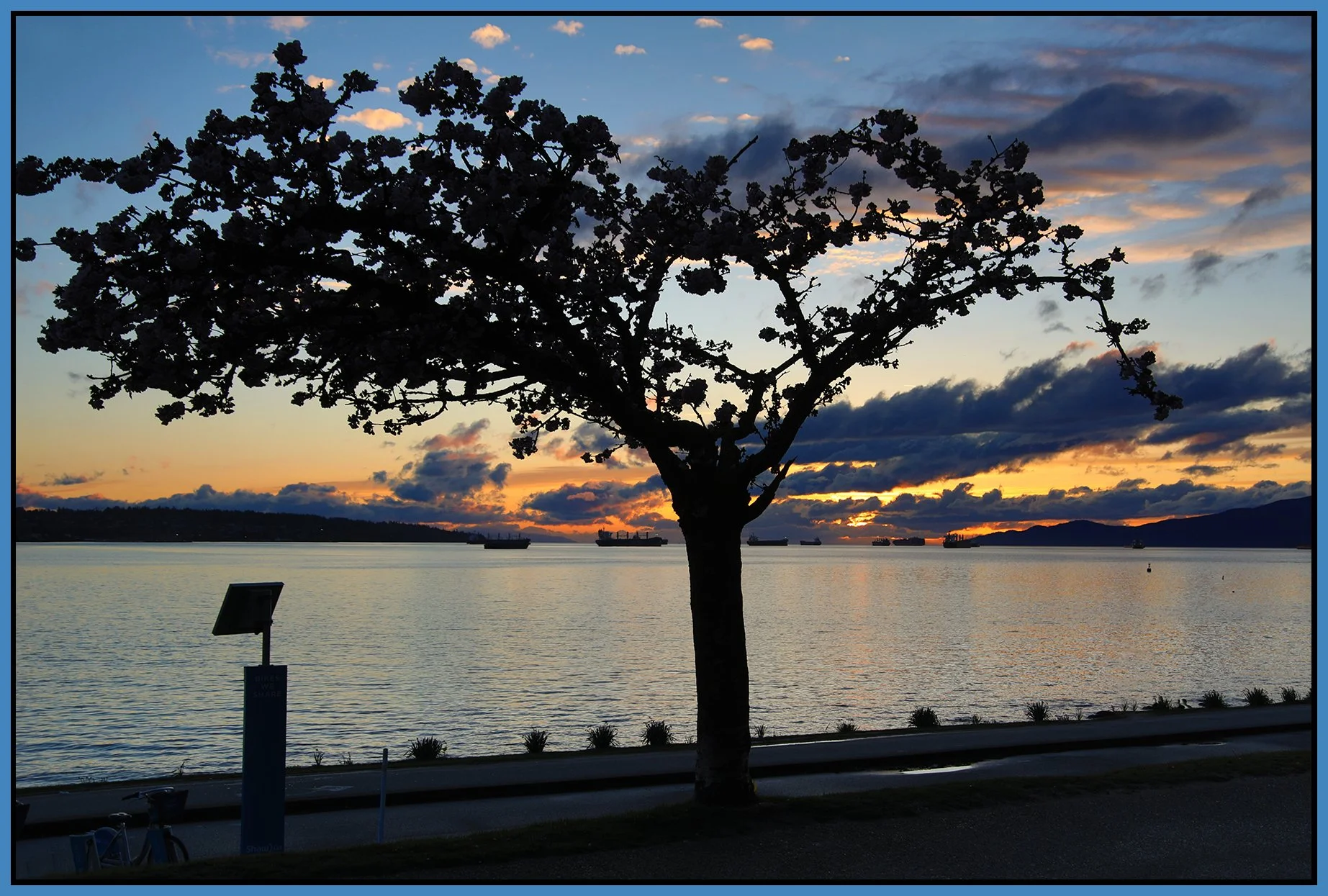 English Bay Sunset Tree_Apr 9_2023_HDR_4H5958_4x6s.jpg