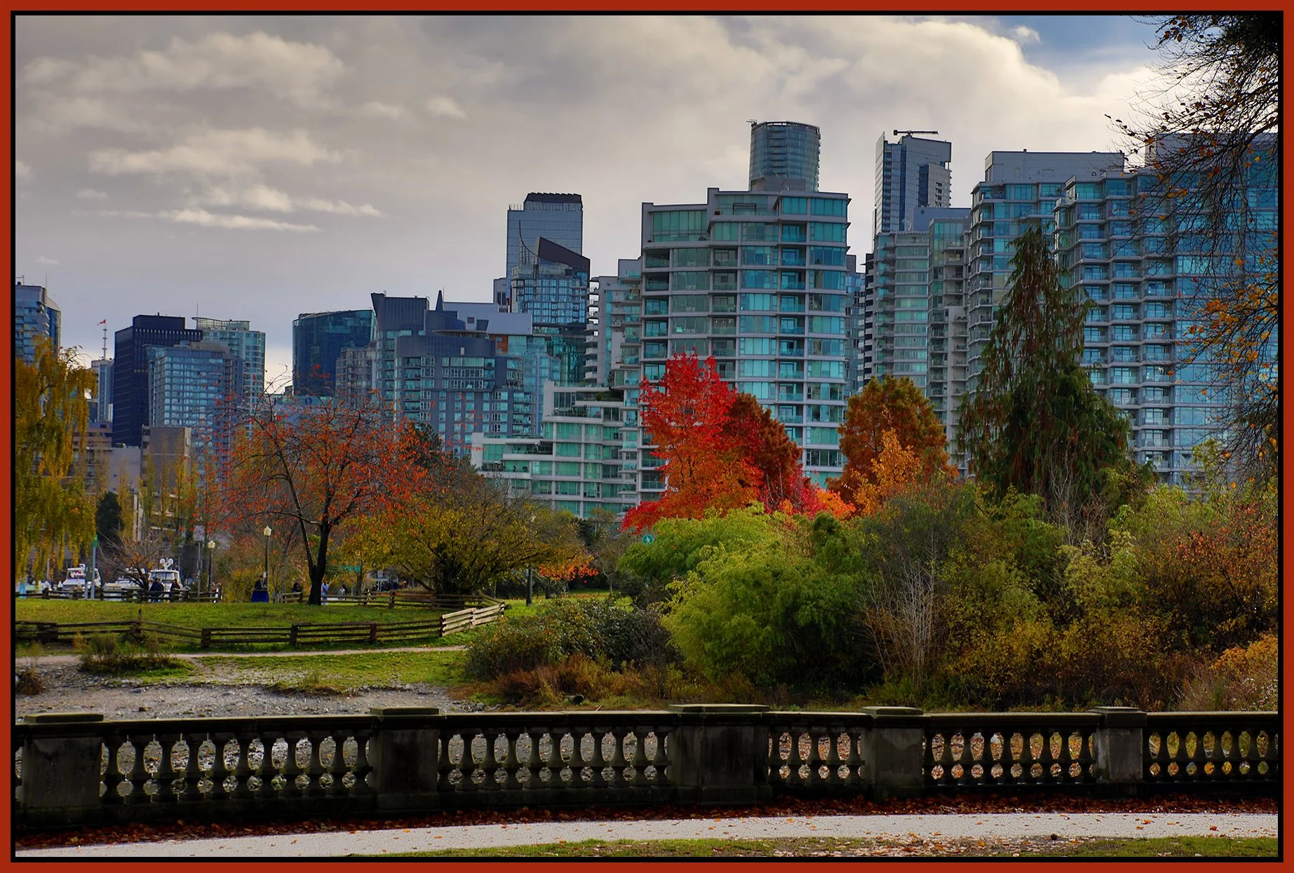 Stanley Park Fall leaves_Nov 12_2023_HDR_4H9049_4x6s.jpg
