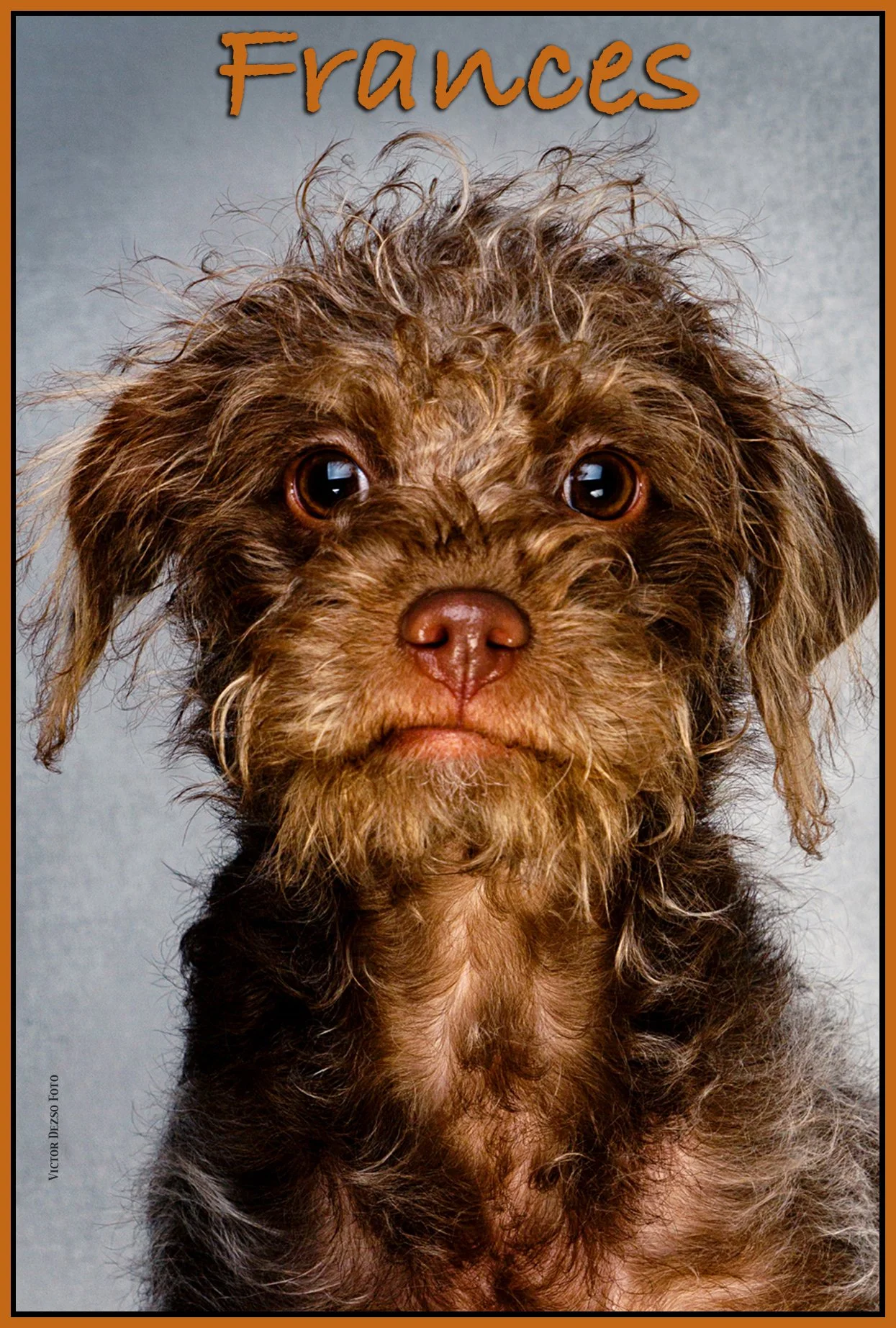 Frances Stewart_Feb 14_2015_F0496_pePopSharp_4x6ss.jpg