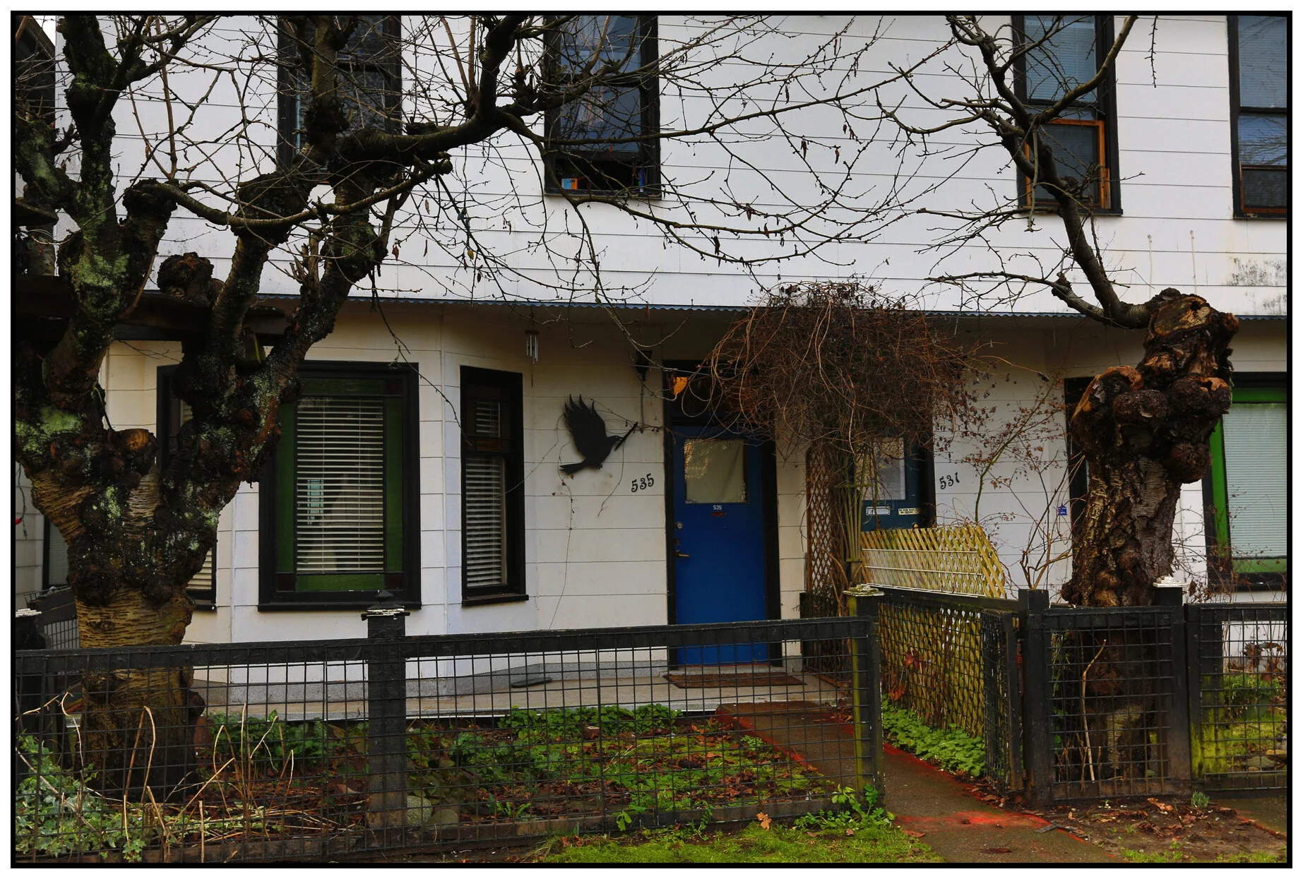 Strathcona BlackBird_Jan 15_2014_HDR_E1976_4x6s.jpg