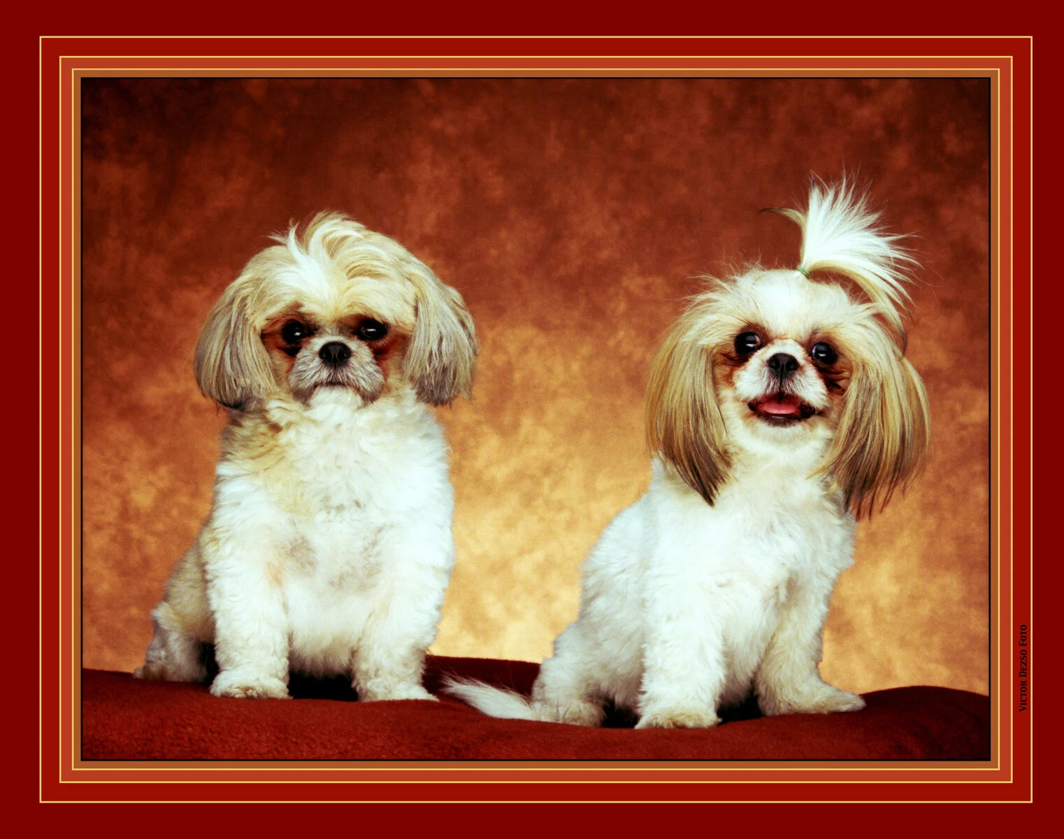 Bart & Maggie_27a_4x5s.jpg