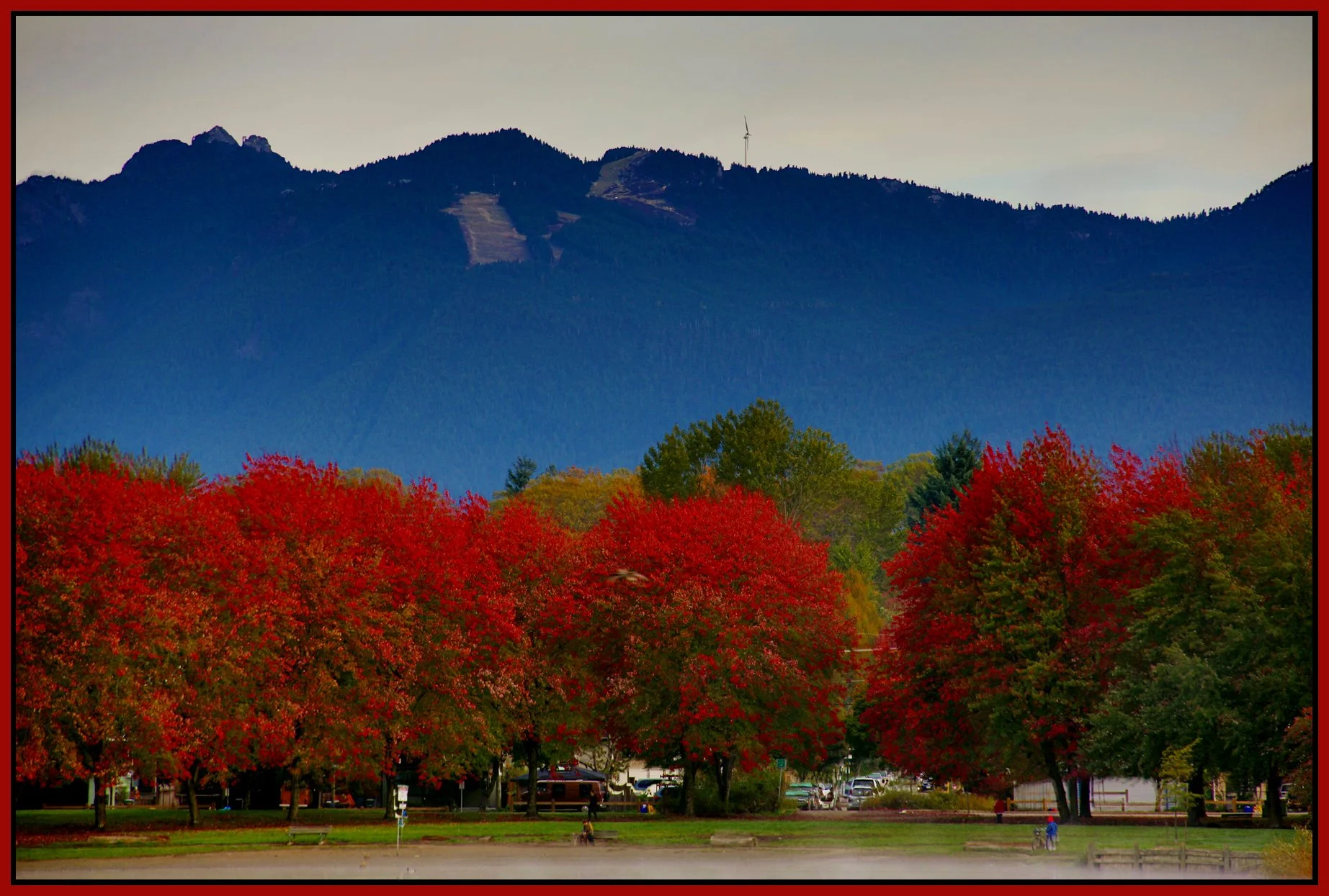 Trout Lake Trees_Oct 15_2015_HDR_H5249_4x6s.jpg
