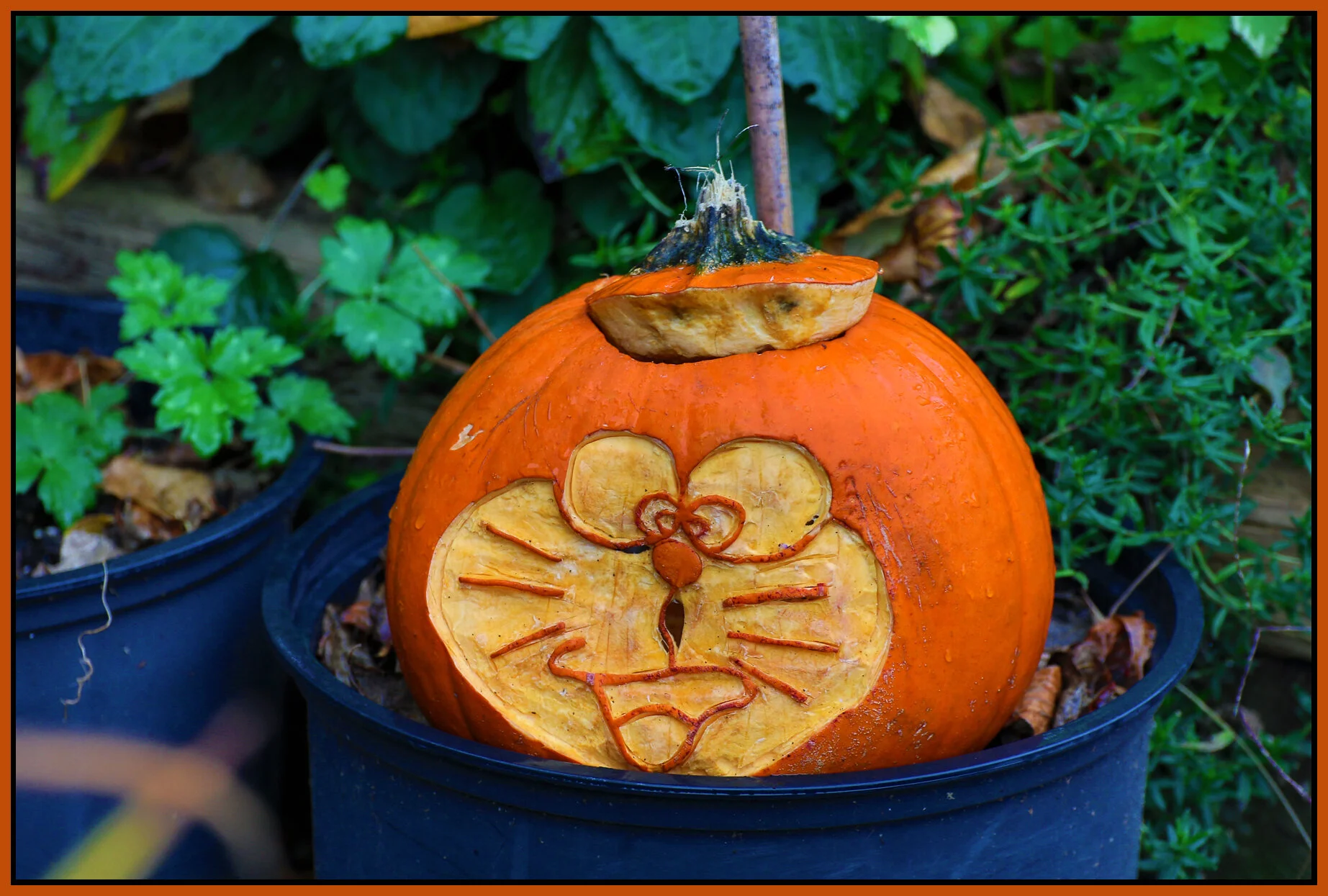 Strathcona Pumpkins_Nov 2_2014_HDR_F2687_4x6s.jpg