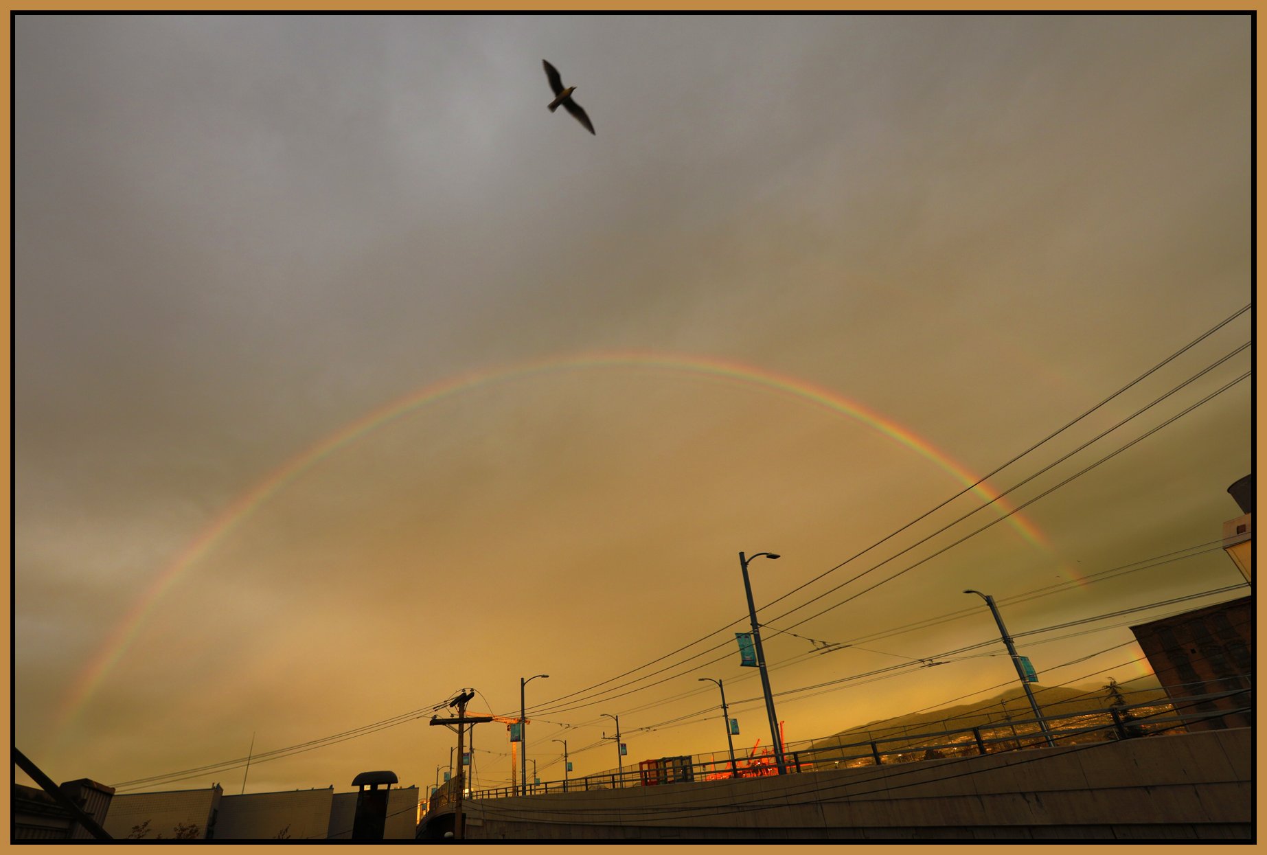301 Raymur Rainbow_Nov 8_2016_HDR_A6928_4x6s.jpg