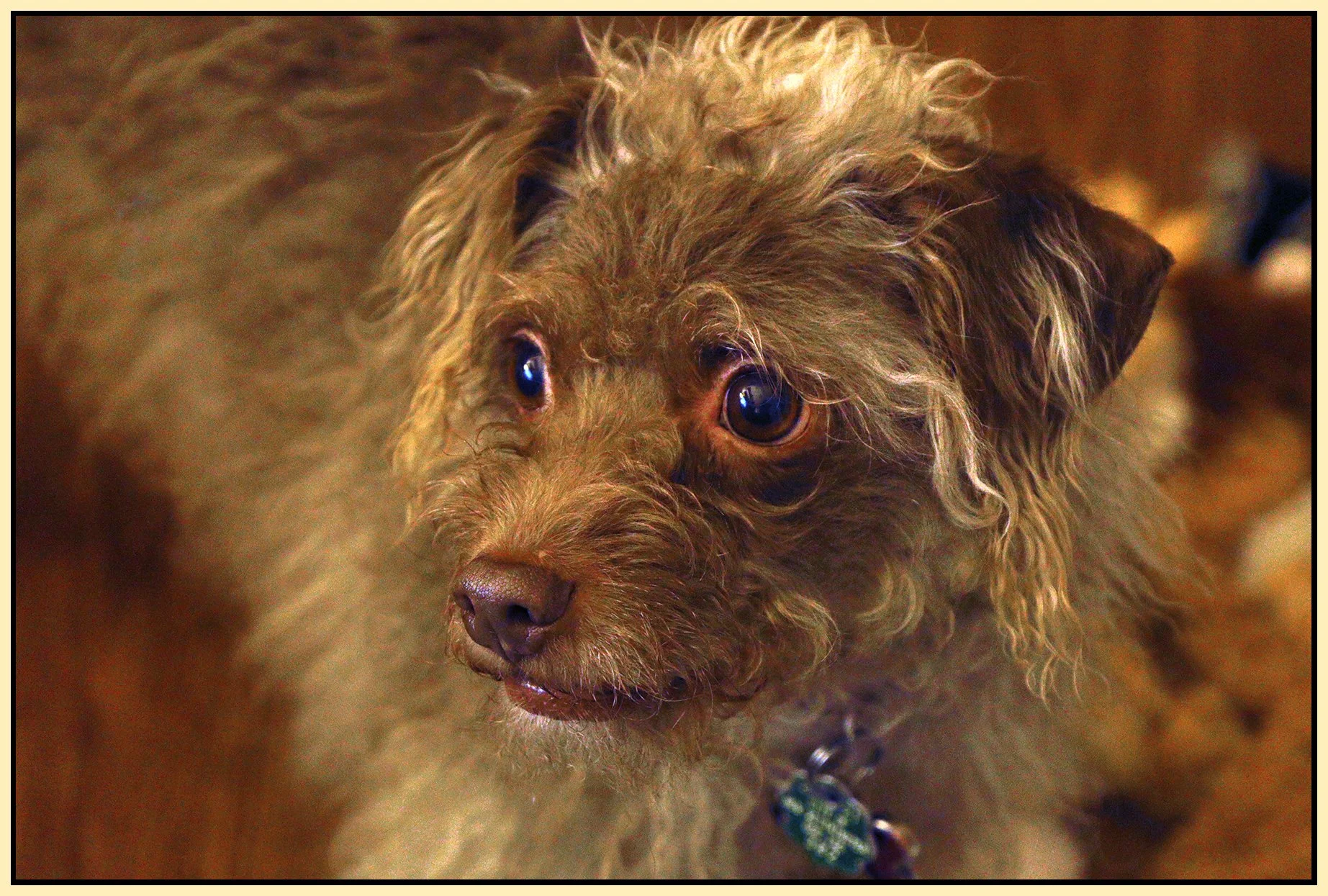 Frances_Jan 3_2022_HDR_4G5788_1_4x6s.jpg