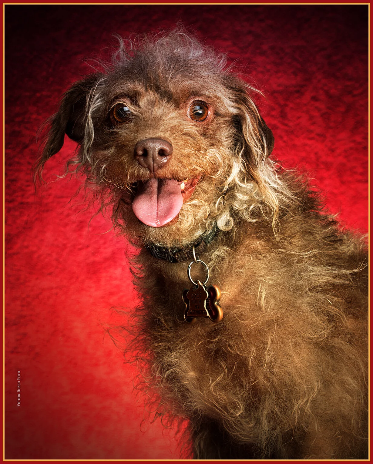 Frances_May 2_2018_CR2_C6834_peIntnsunst_4x5s.jpg