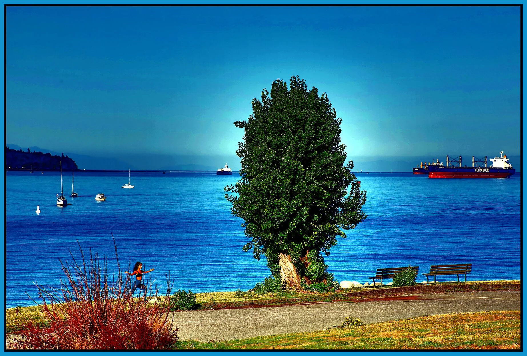 English Bay Tree_Sep 2_2021_HDR_4G2869_peDrkn&ImpCntrst_4x6s.jpg