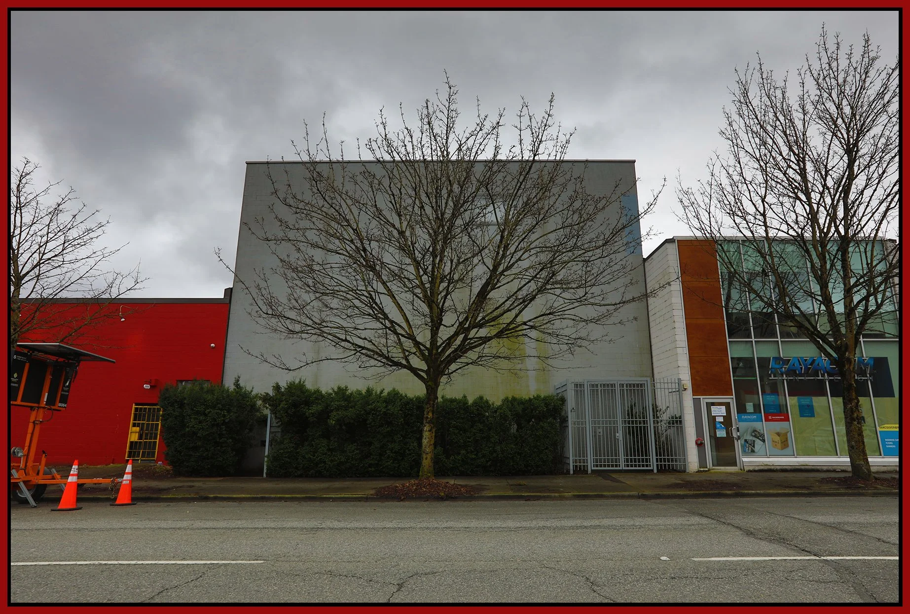 790 Powell St Tree_Mar 10_2024_HDR_4H4716_4x6s.jpg