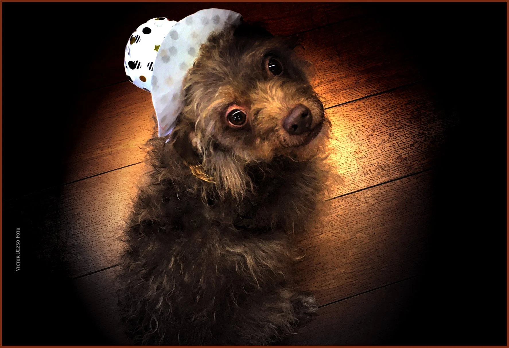 Frances with Cowboy Hat_Nov 23_2023_2762_peDecRadinVig_Water_B&wMagic_4x6s.jpg