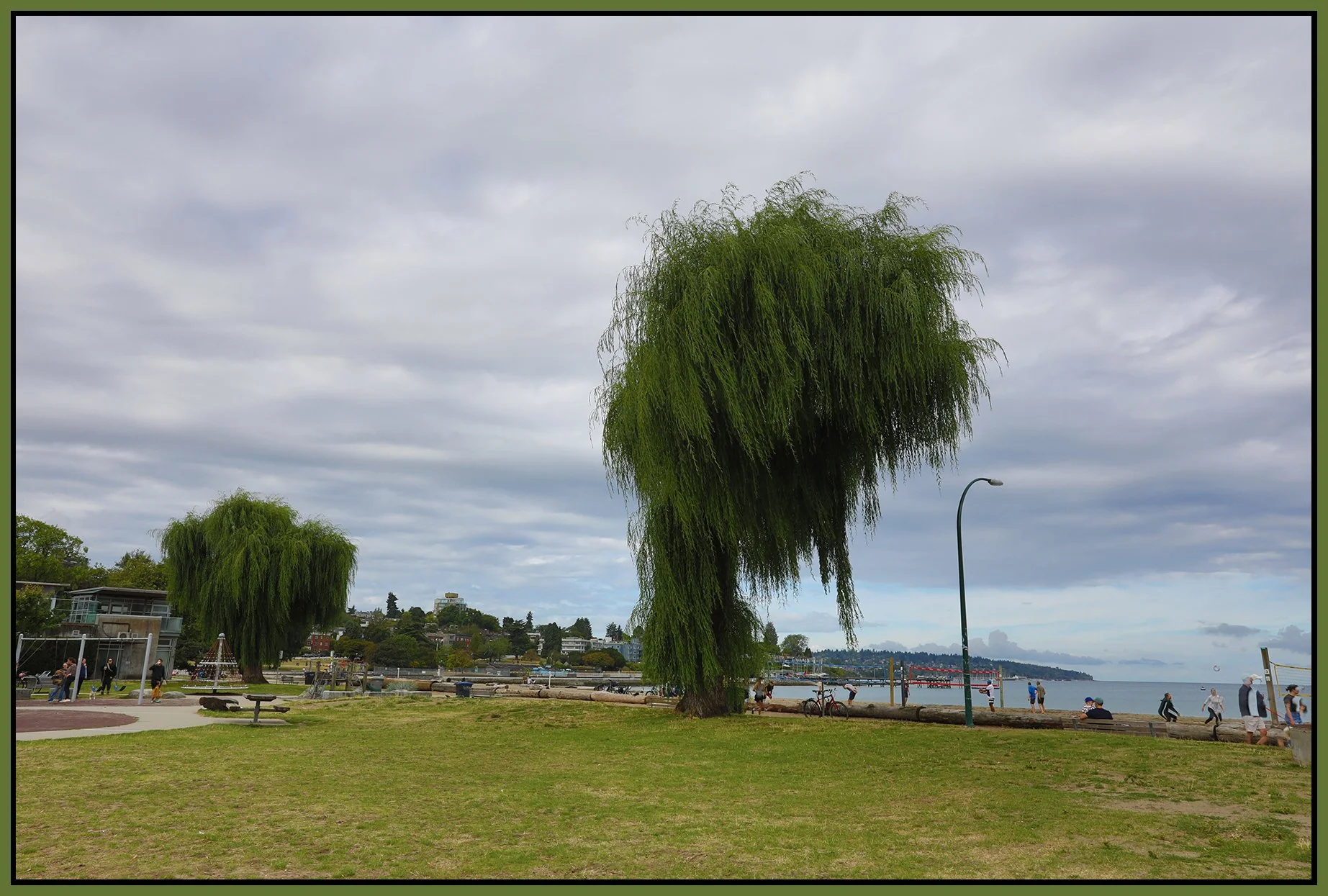 Kitsilano Beach Trees_Aug 17_2025_HDR_4K1248_4x6s.jpg