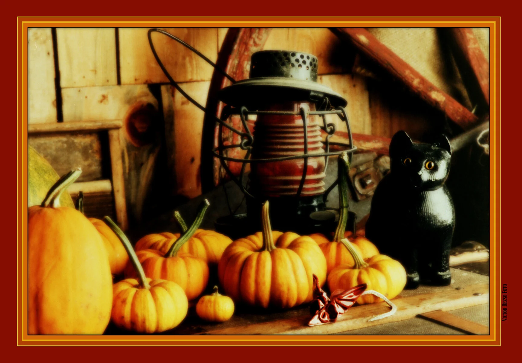 Black Cat&Pumpkins_5_16_94_4x6s.jpg