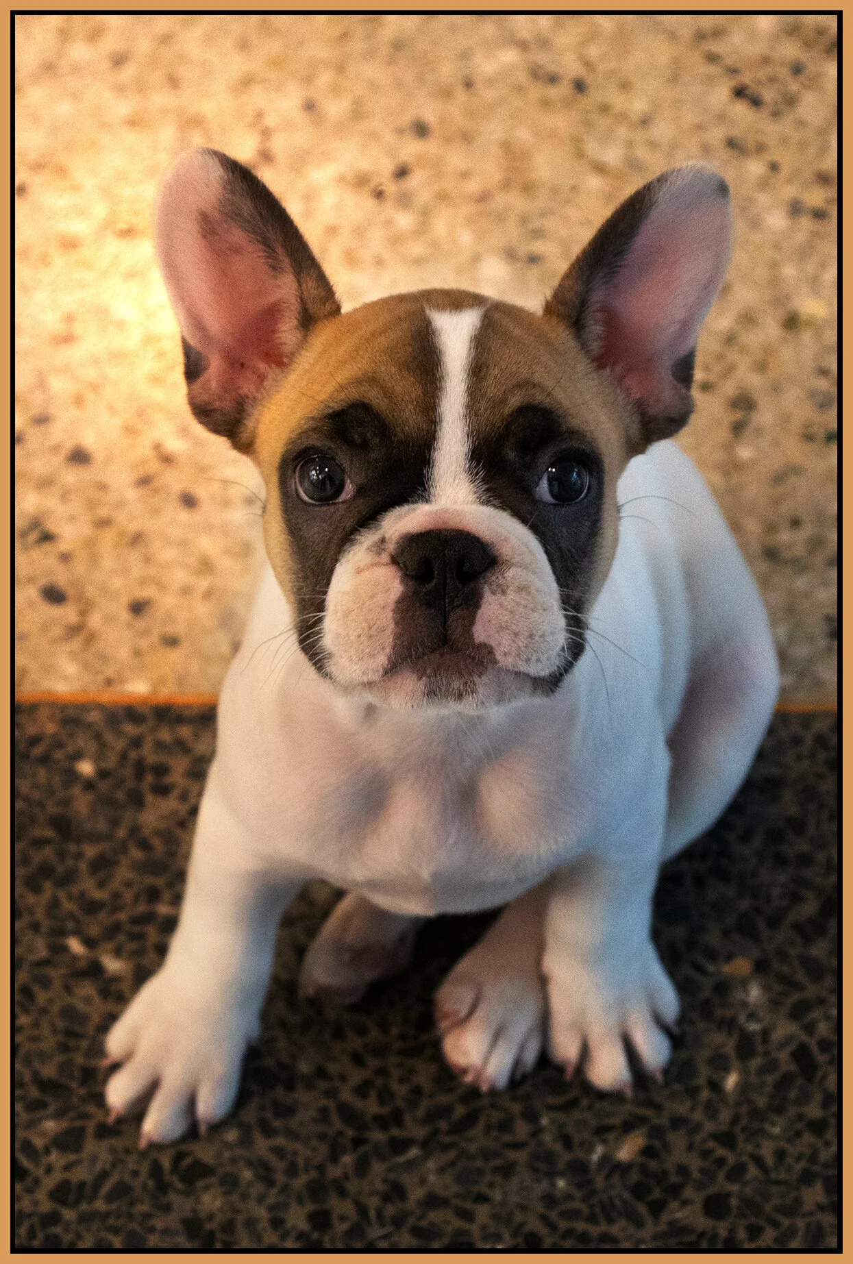 Kona_Sep 11_2021_CR2_5A2267_1_4x6s.jpg