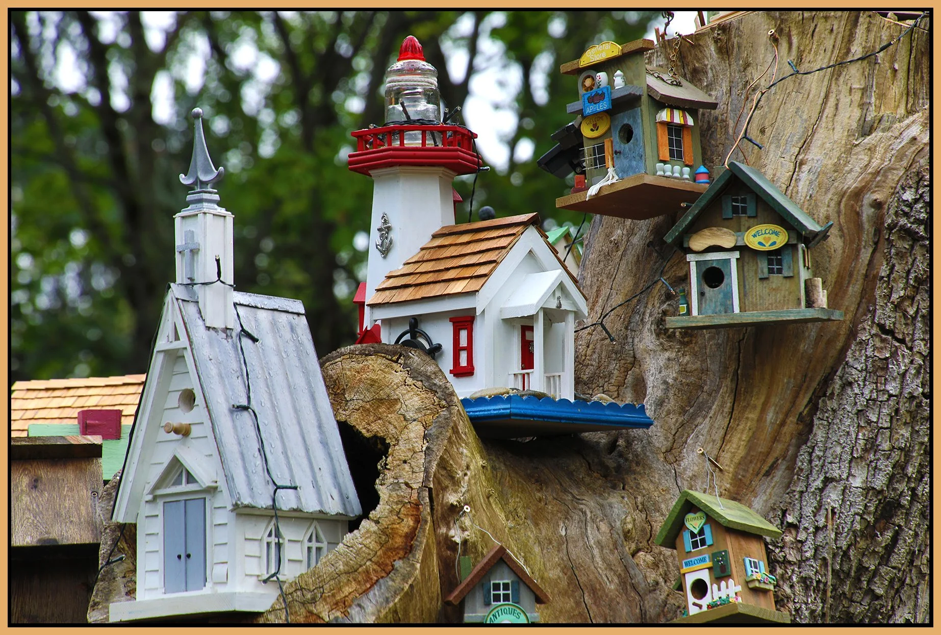 580 Heatley St Tree Houses_May 19_2024_HDR_5E5183_4x6s.jpg
