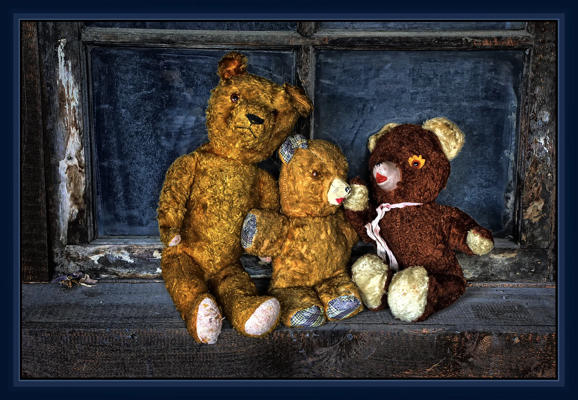 Barbara's Bears_Aug 4_2020_HDR_4F8288_peSelinaDrained_4x6_1ss.jpg