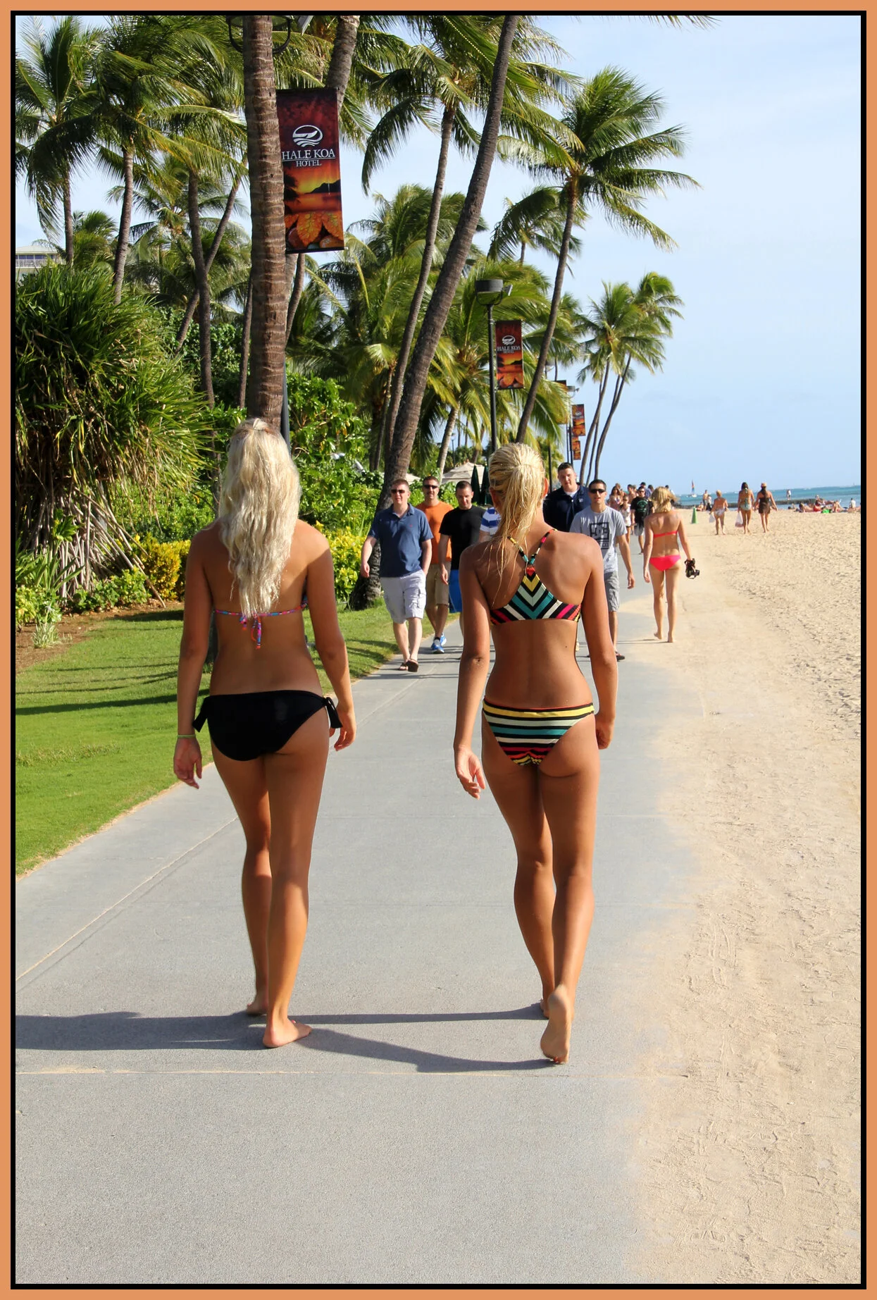 Hawaii_Nov 16_2012__2221_4x6s.jpg