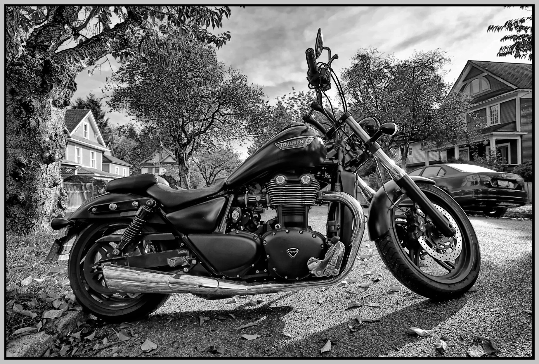 Triumph_Oct 27_2015_HDR_H9169_peHdriBW_4x6s.jpg