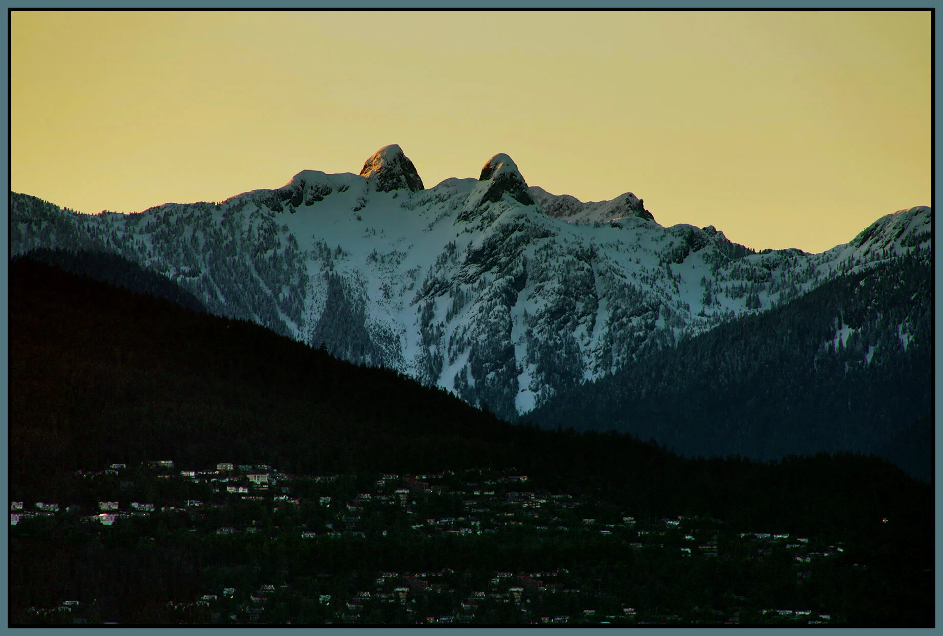 Lions Ears_Apr 10_2021_HDR_5A7630_4x6s.jpg