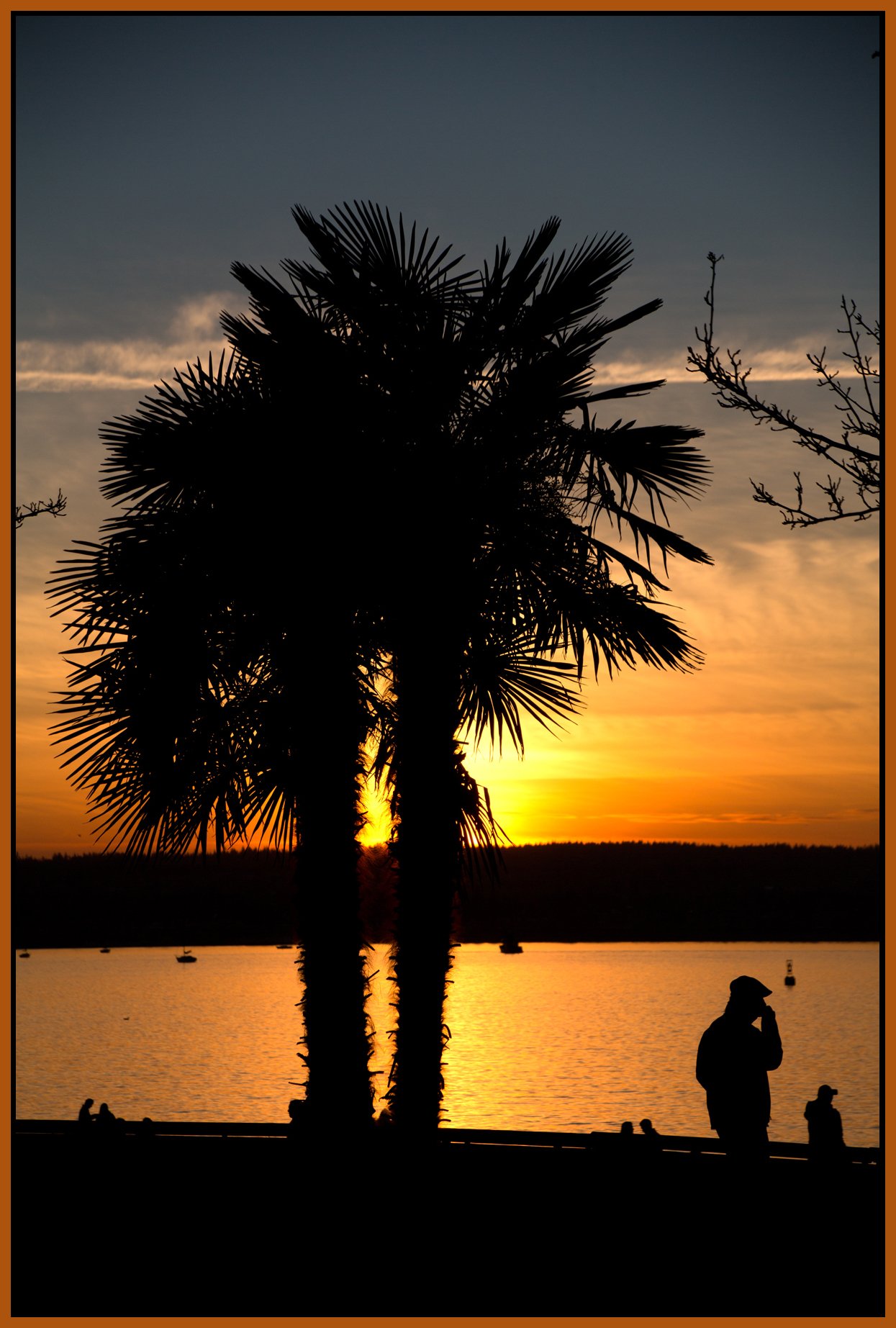 English Bay Palms_Jan 8_2016_HDR_K2840_4x6s.jpg