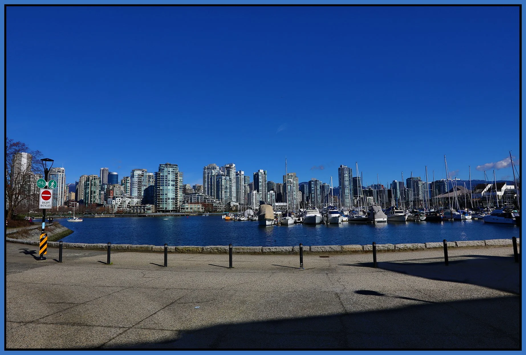 2 View of Vancouver_Mar 6_2025_HDR_5F0360_4x6s.jpg