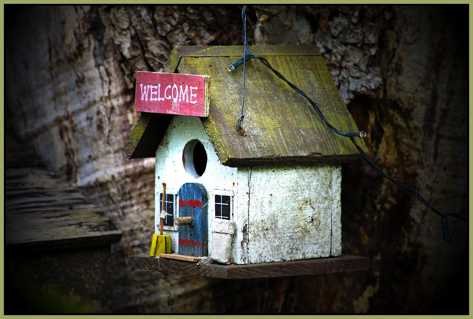 580 Heatley St Tree Houses_May 19_2024_HDR_5E5195_pentense_4x6s.jpg
