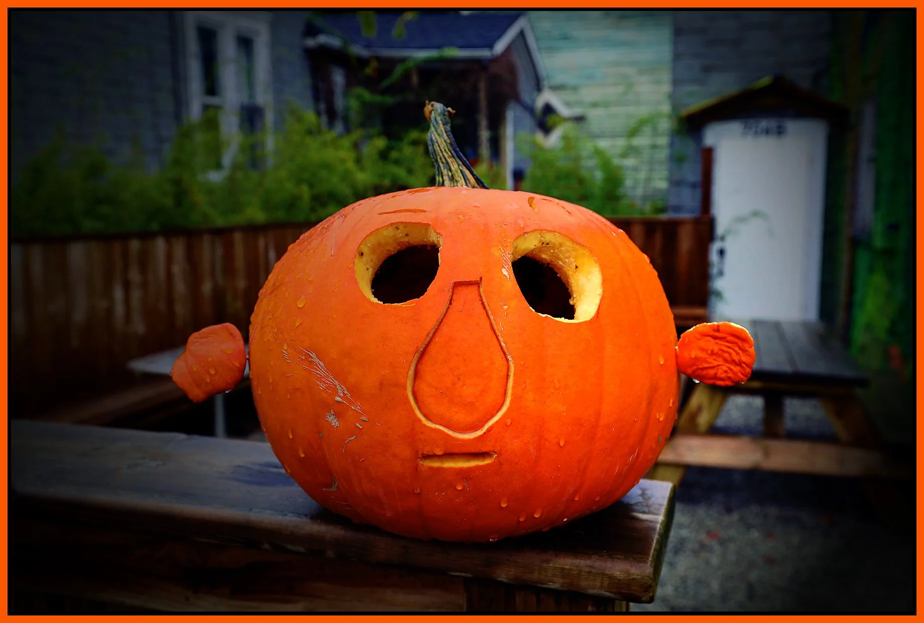 Pumpkin_Oct 27_2024_HDR_5E3639_pePopDrkn_4x6s.jpg