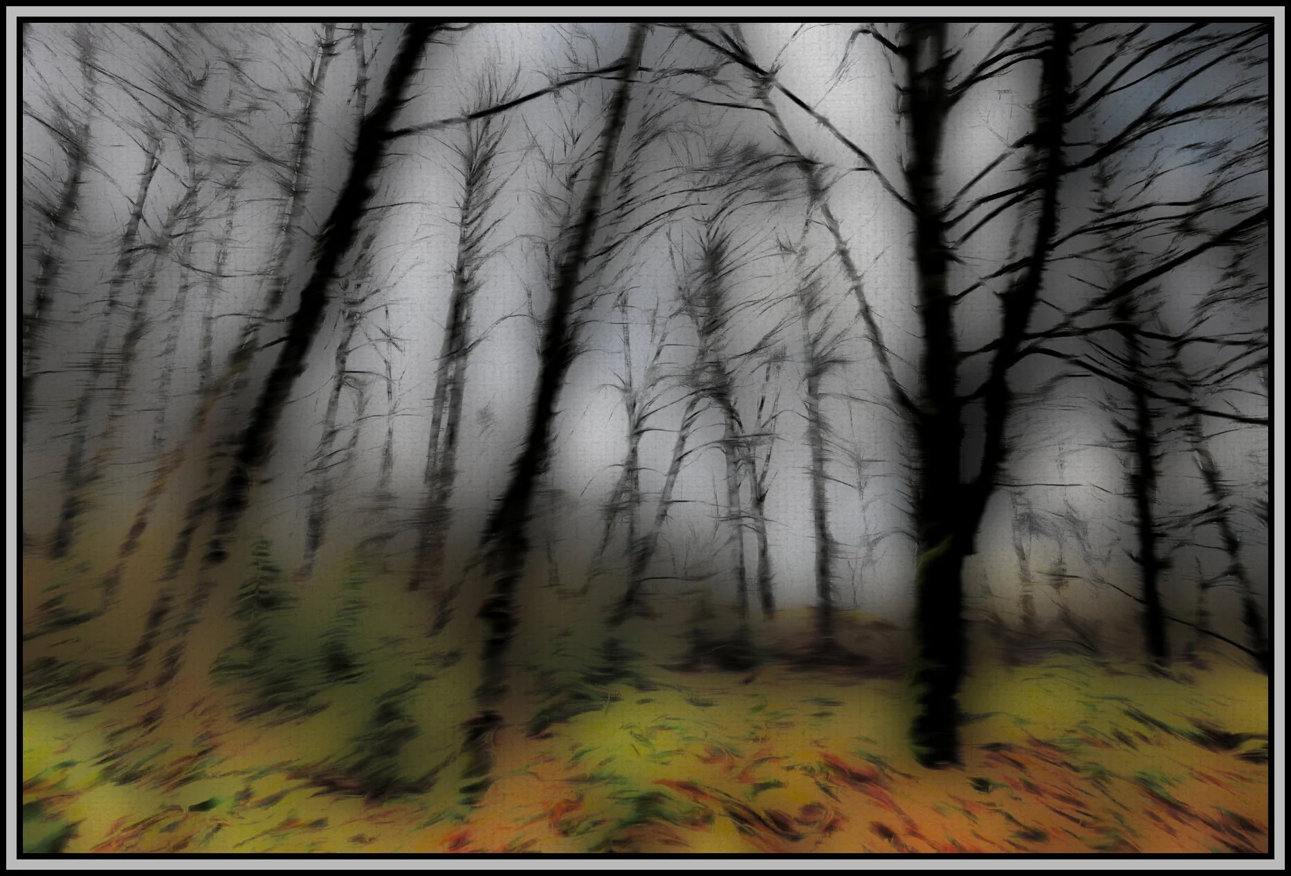 Woods on Kerr_Dec 9_2015_HDR_H8309_peVibColSoftPas_4x6s.jpg